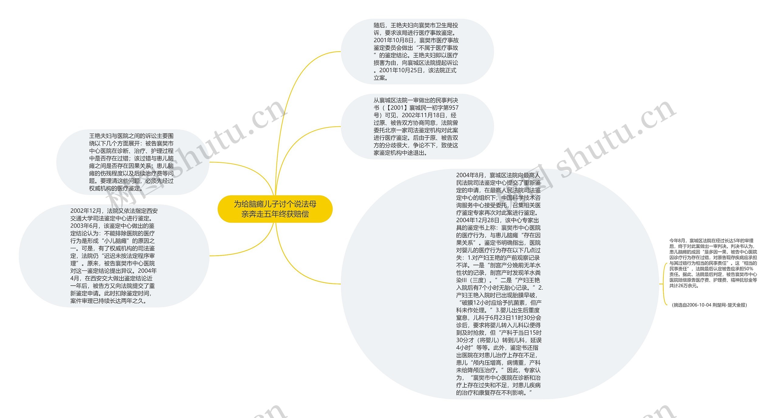 为给脑瘫儿子讨个说法母亲奔走五年终获赔偿思维导图