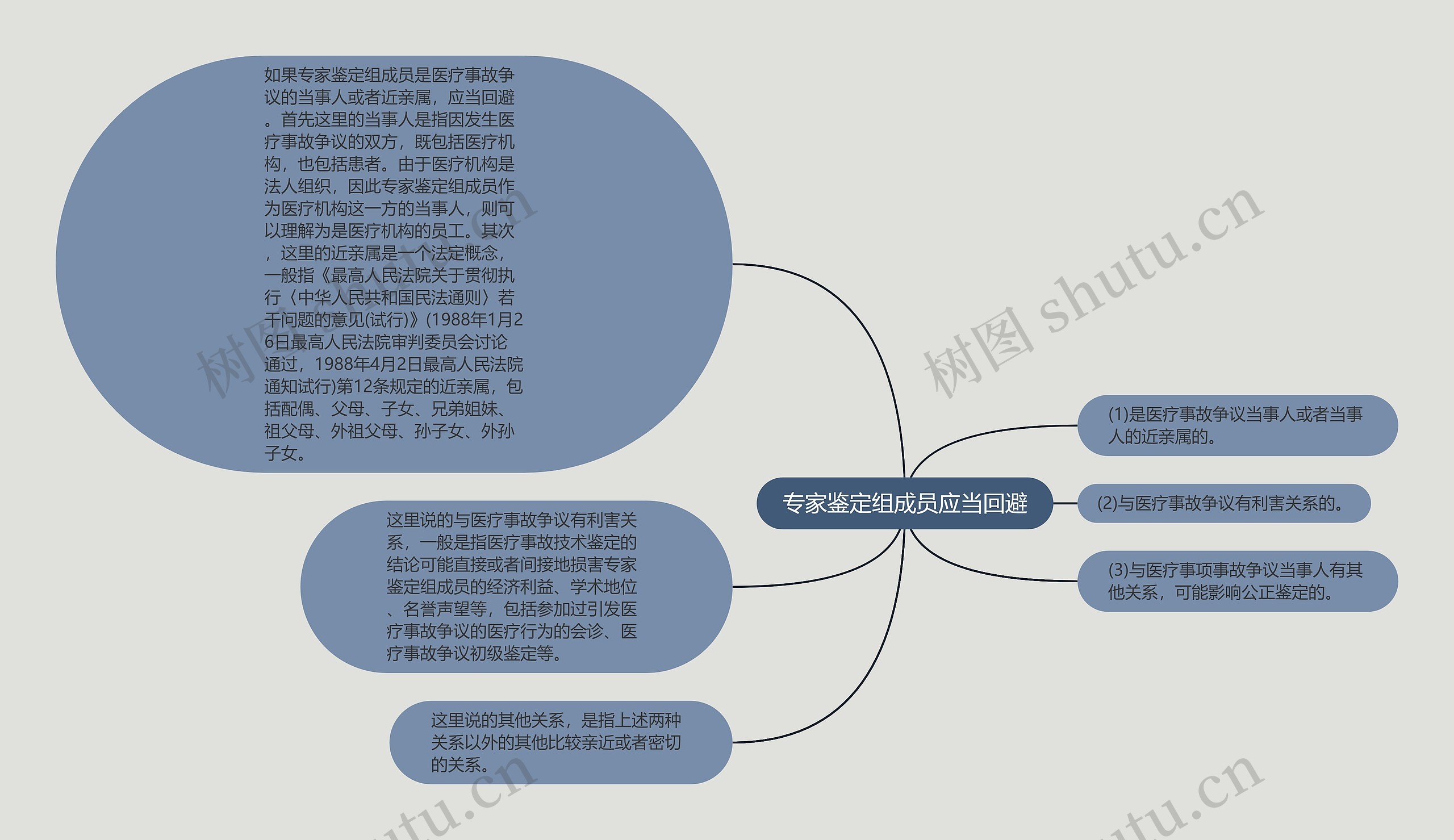 专家鉴定组成员应当回避思维导图