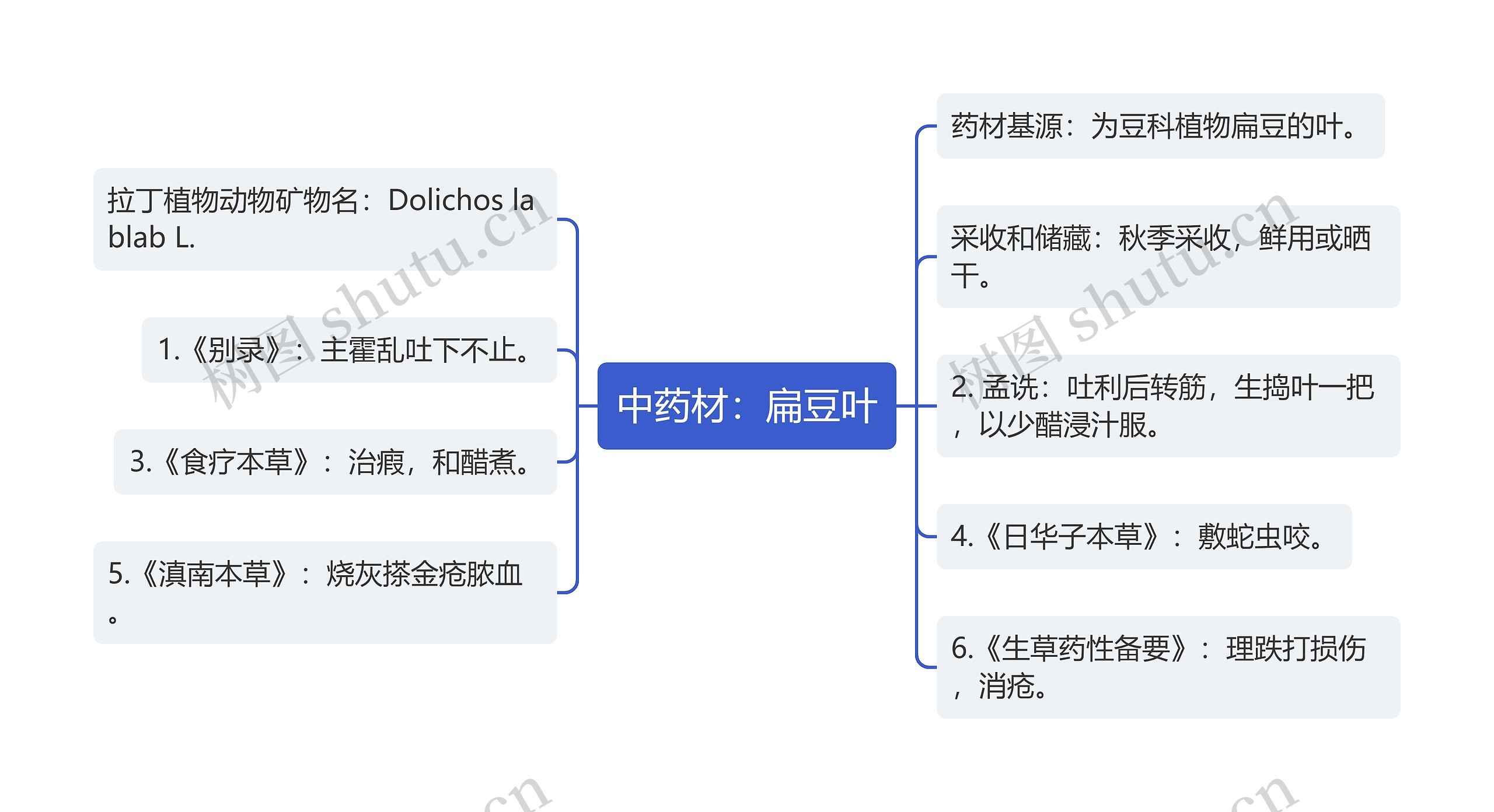 中药材：扁豆叶思维导图