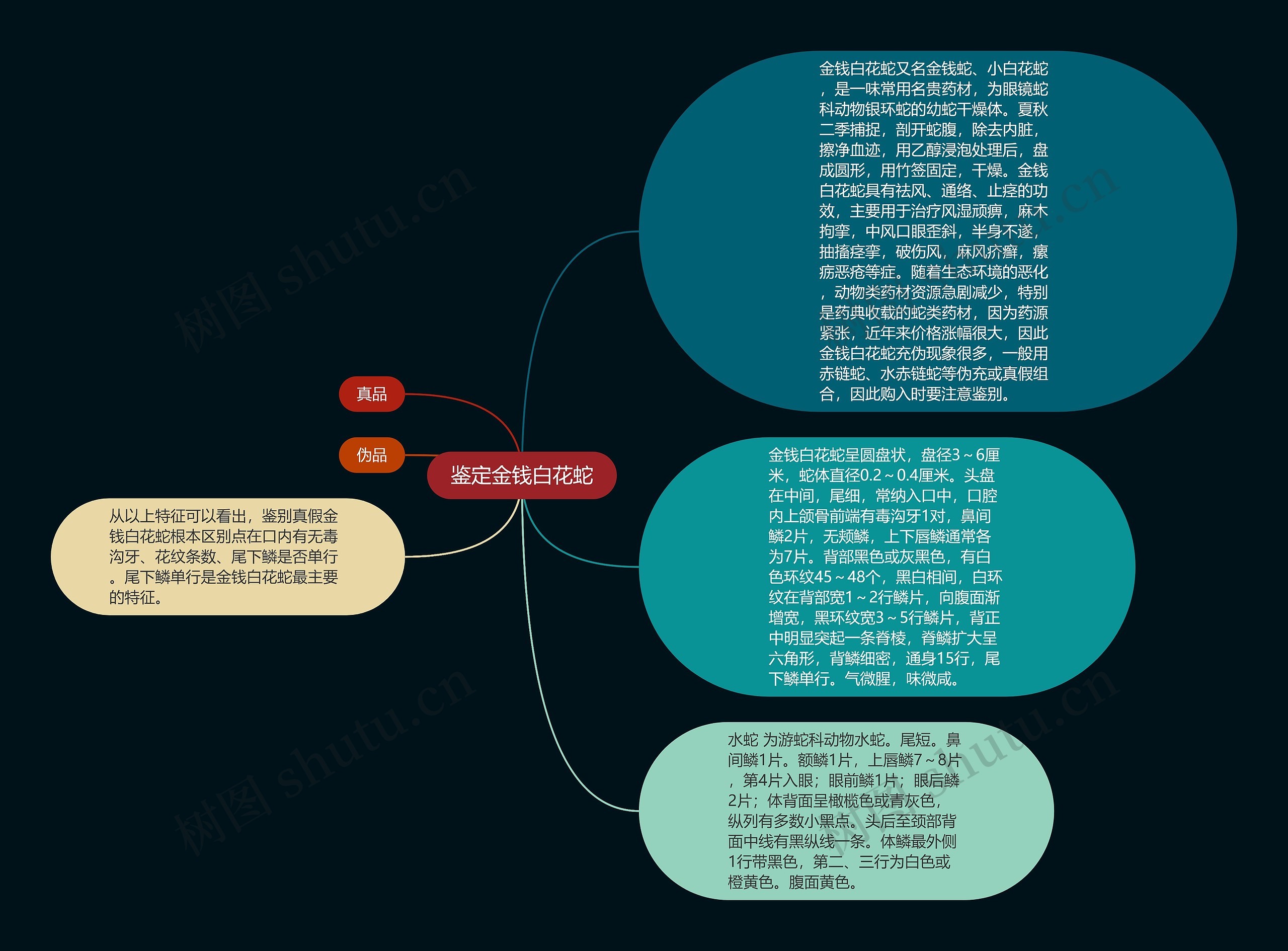 鉴定金钱白花蛇思维导图