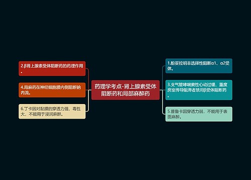 药理学考点-肾上腺素受体阻断药和局部麻醉药