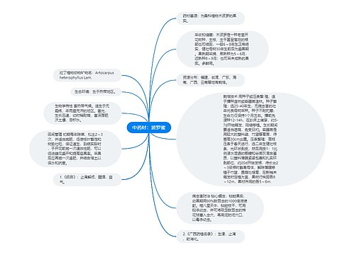 中药材：波罗蜜