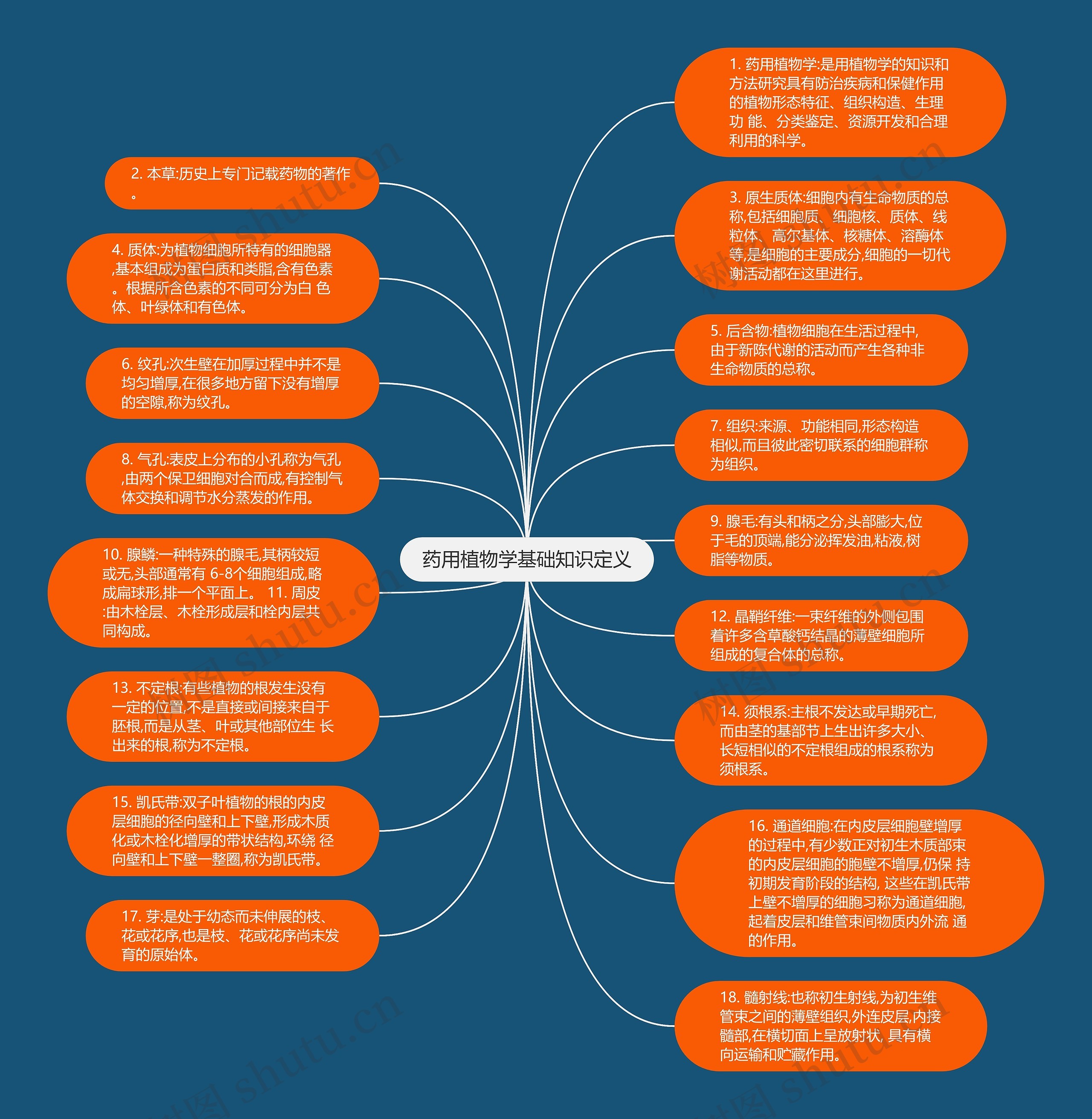 药用植物学基础知识定义思维导图
