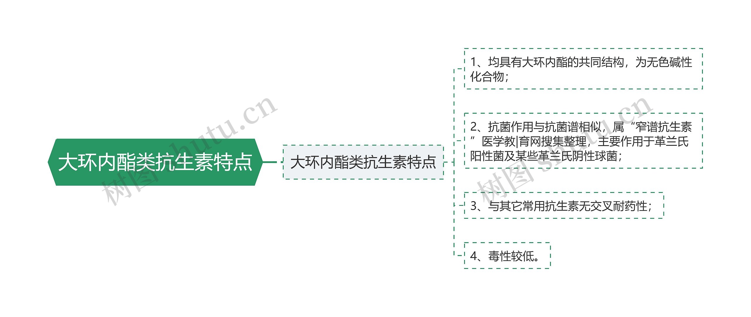 大环内酯类抗生素特点思维导图