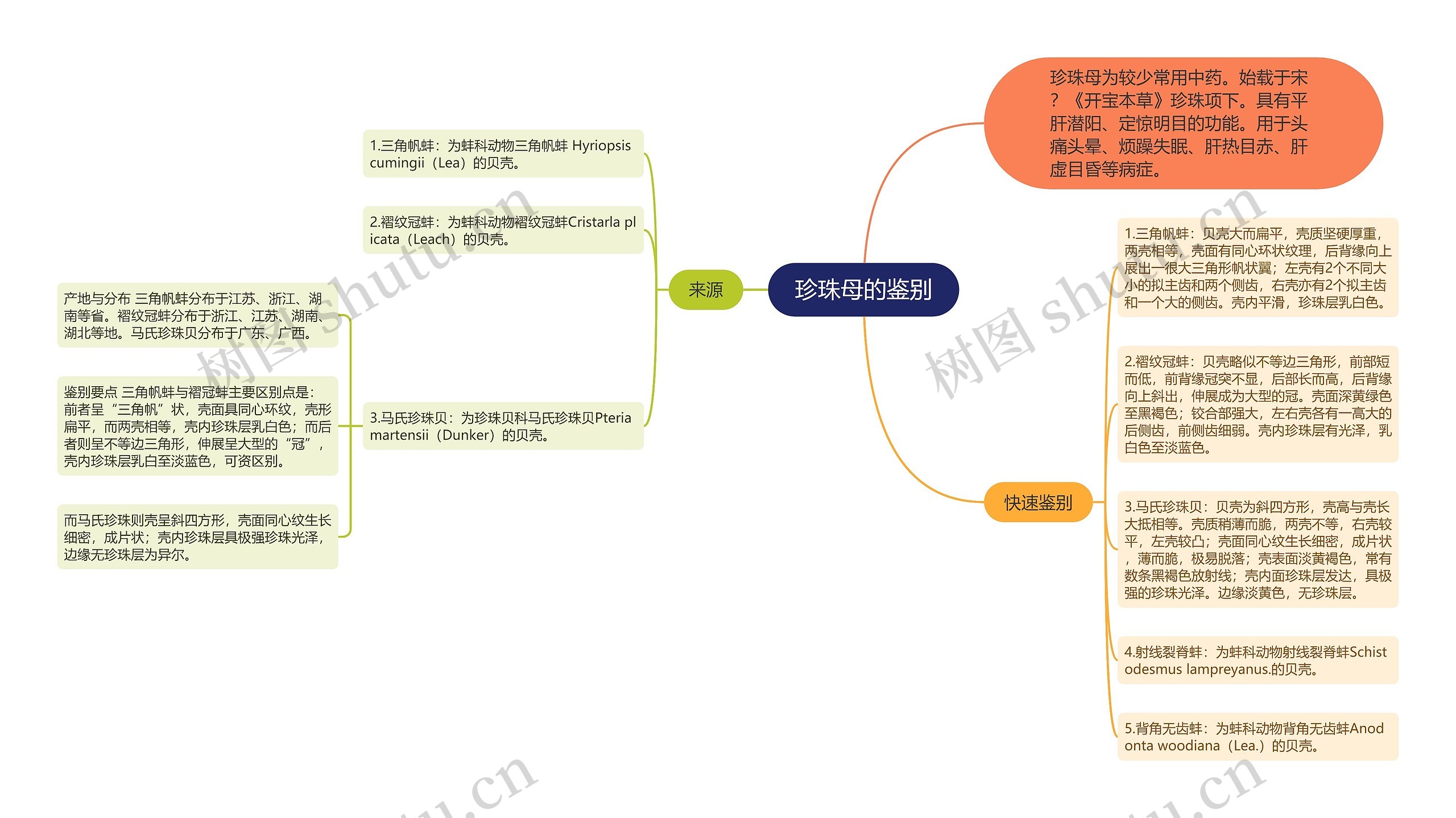 珍珠母的鉴别思维导图