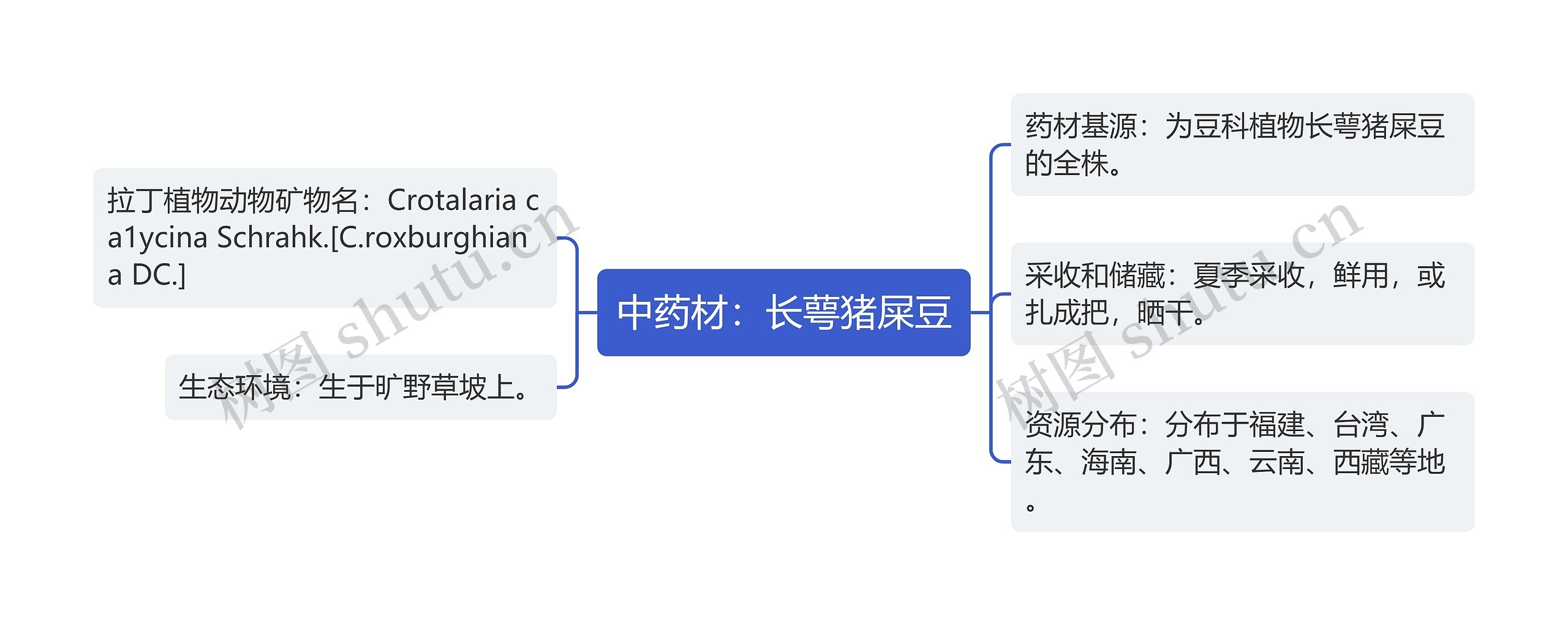 中药材：长萼猪屎豆思维导图