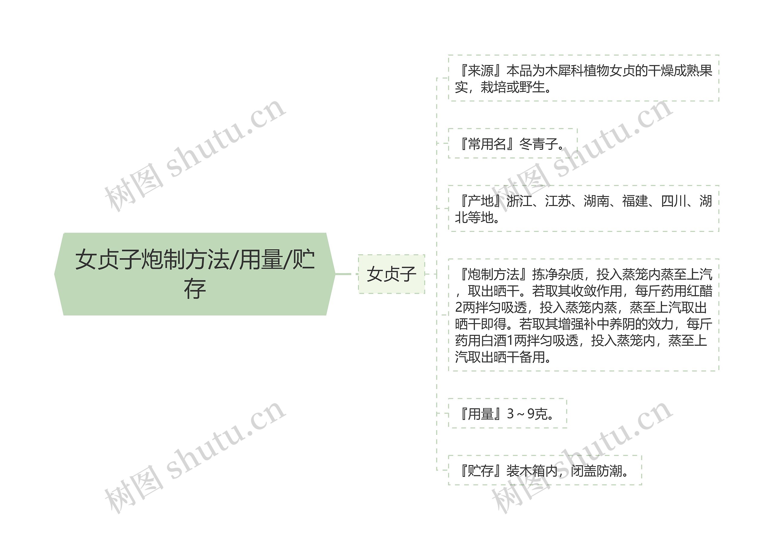 女贞子炮制方法/用量/贮存思维导图