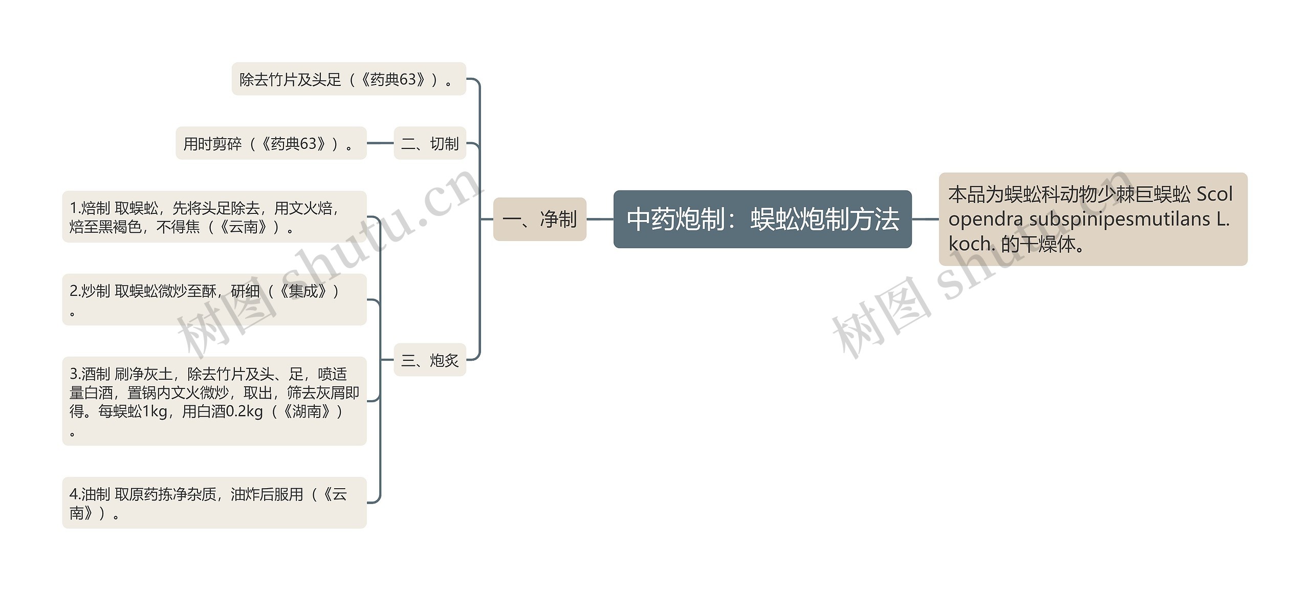 中药炮制：蜈蚣炮制方法思维导图