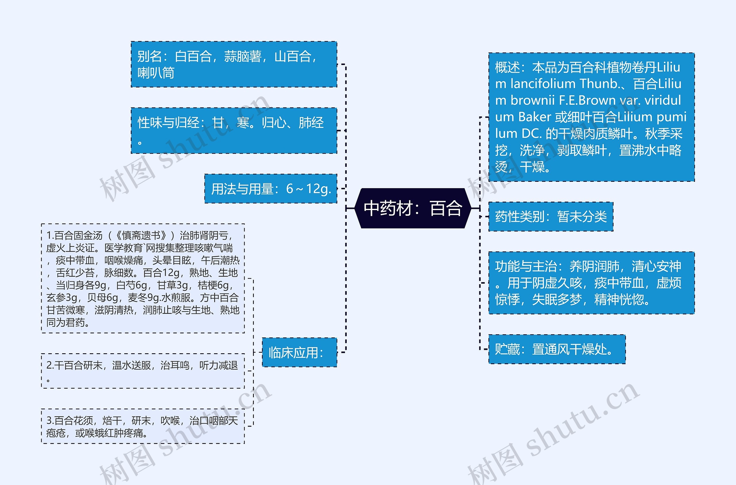 中药材:百合 中药材:百合