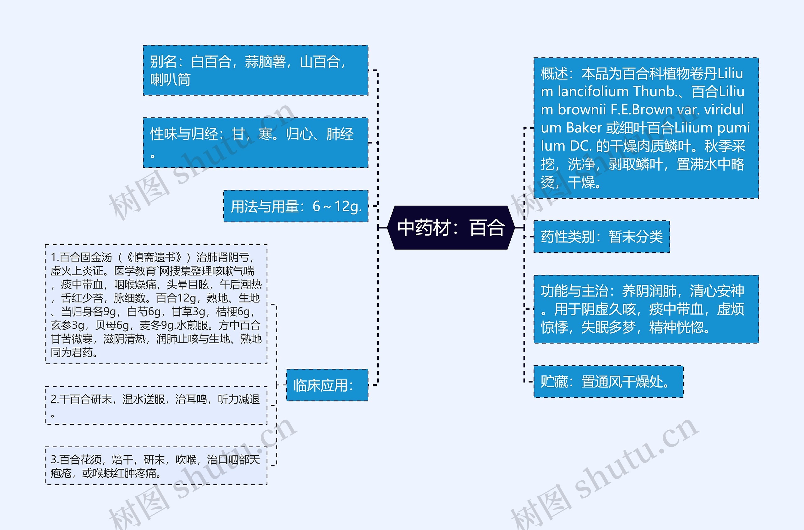 中药材：百合思维导图
