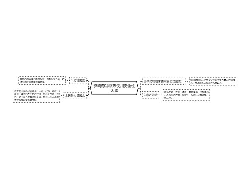 影响药物临床使用安全性因素