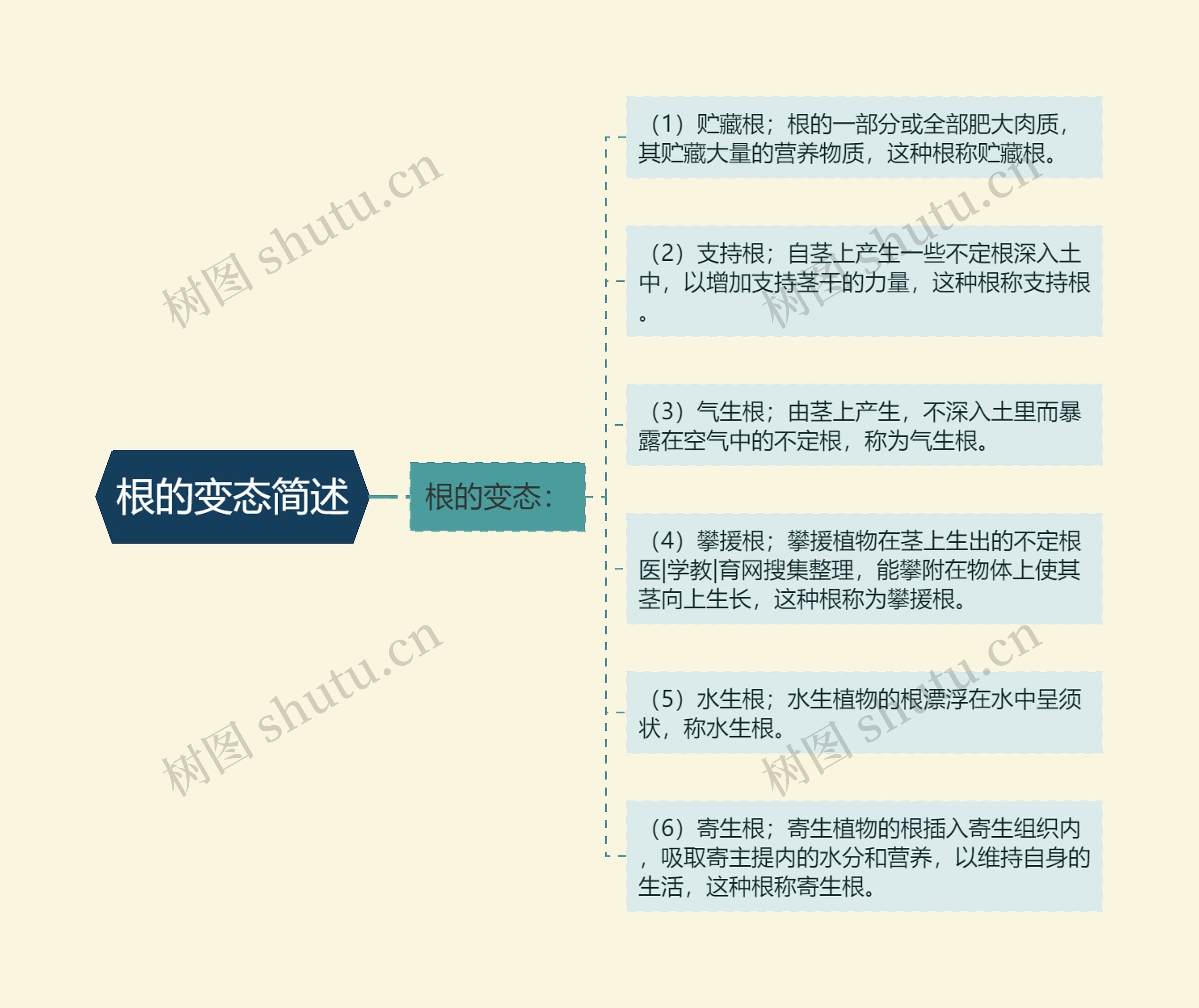 根的变态简述思维导图