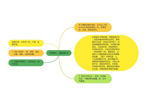 中药材：矮脚罗伞