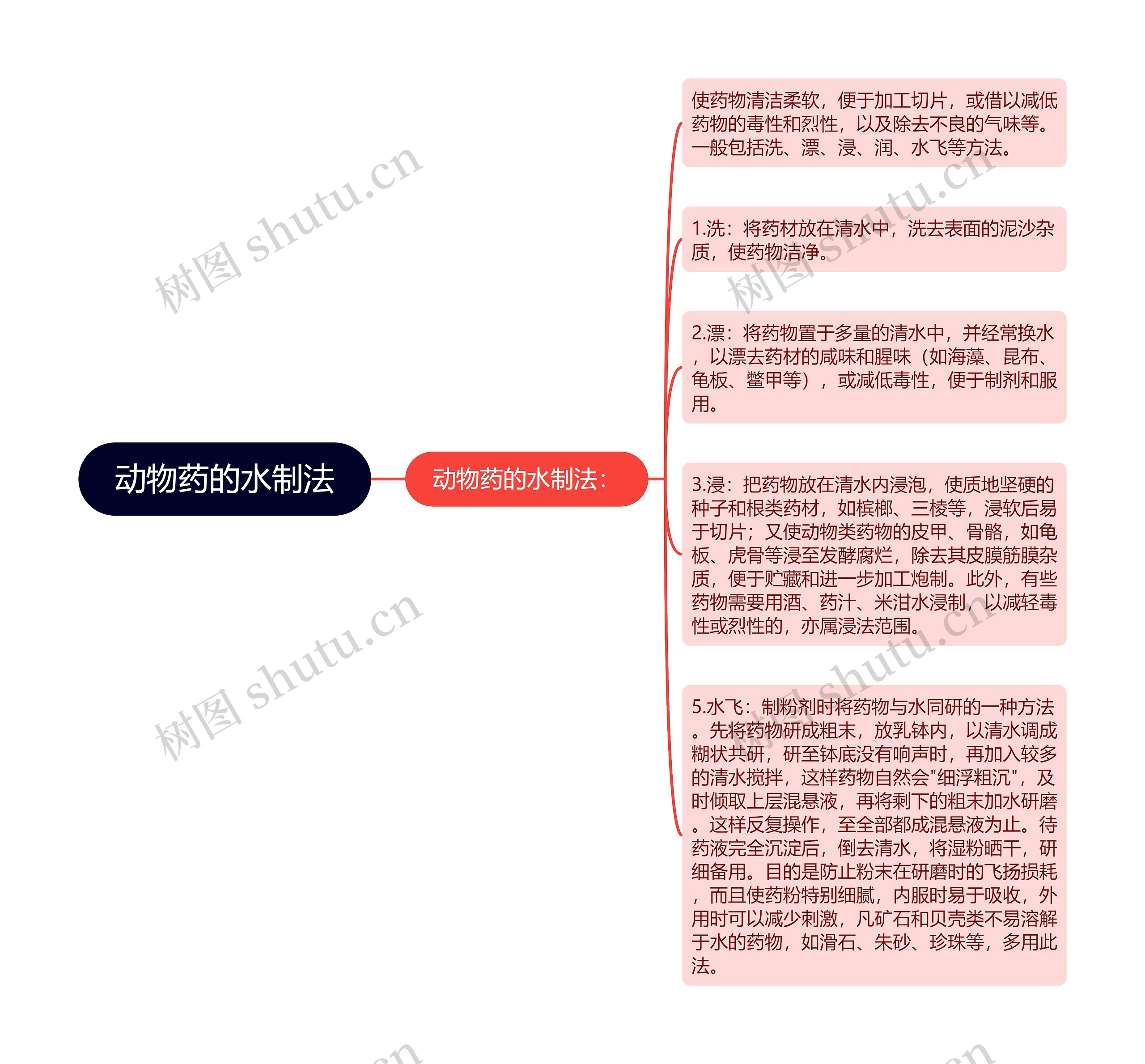 动物药的水制法思维导图