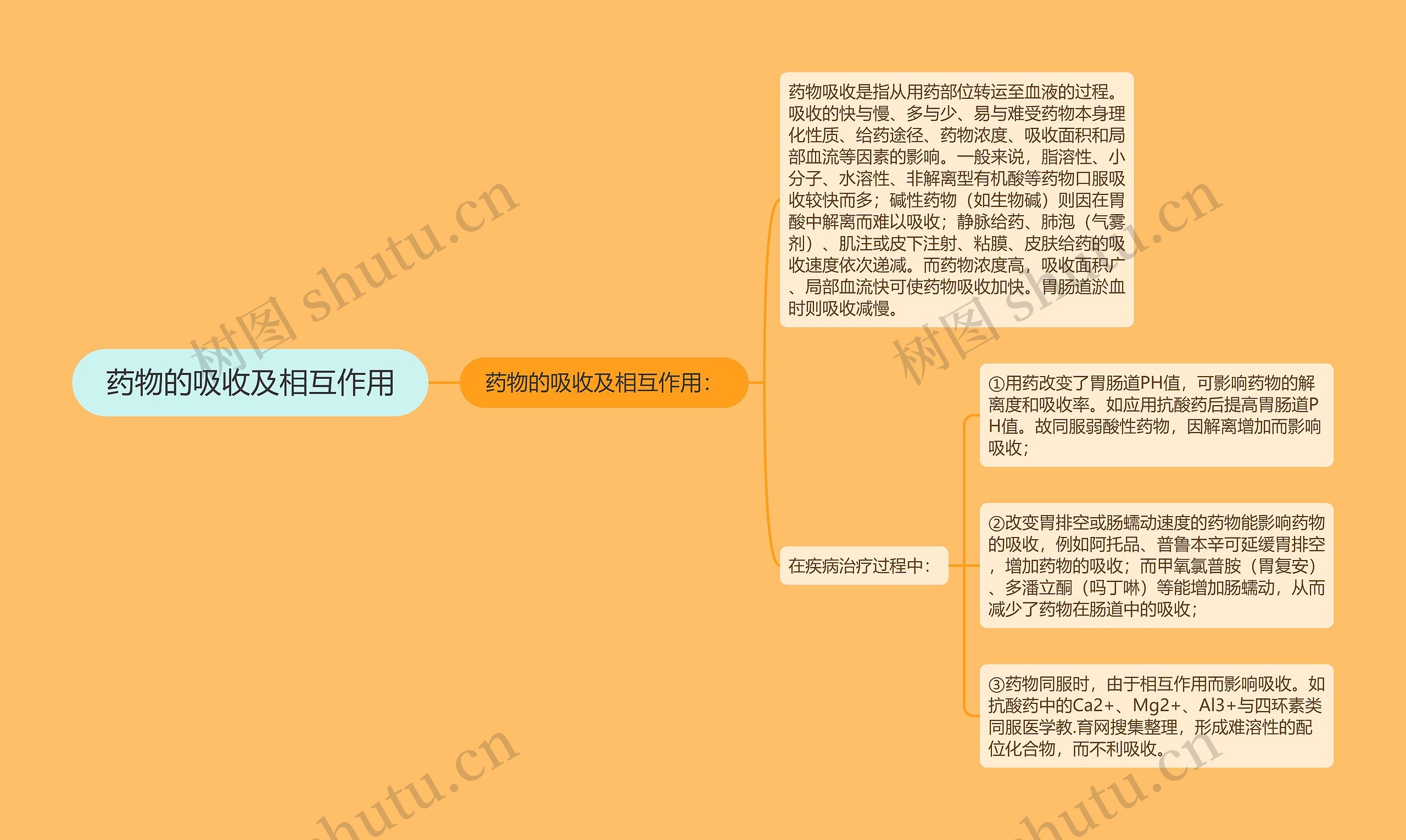 药物的吸收及相互作用思维导图