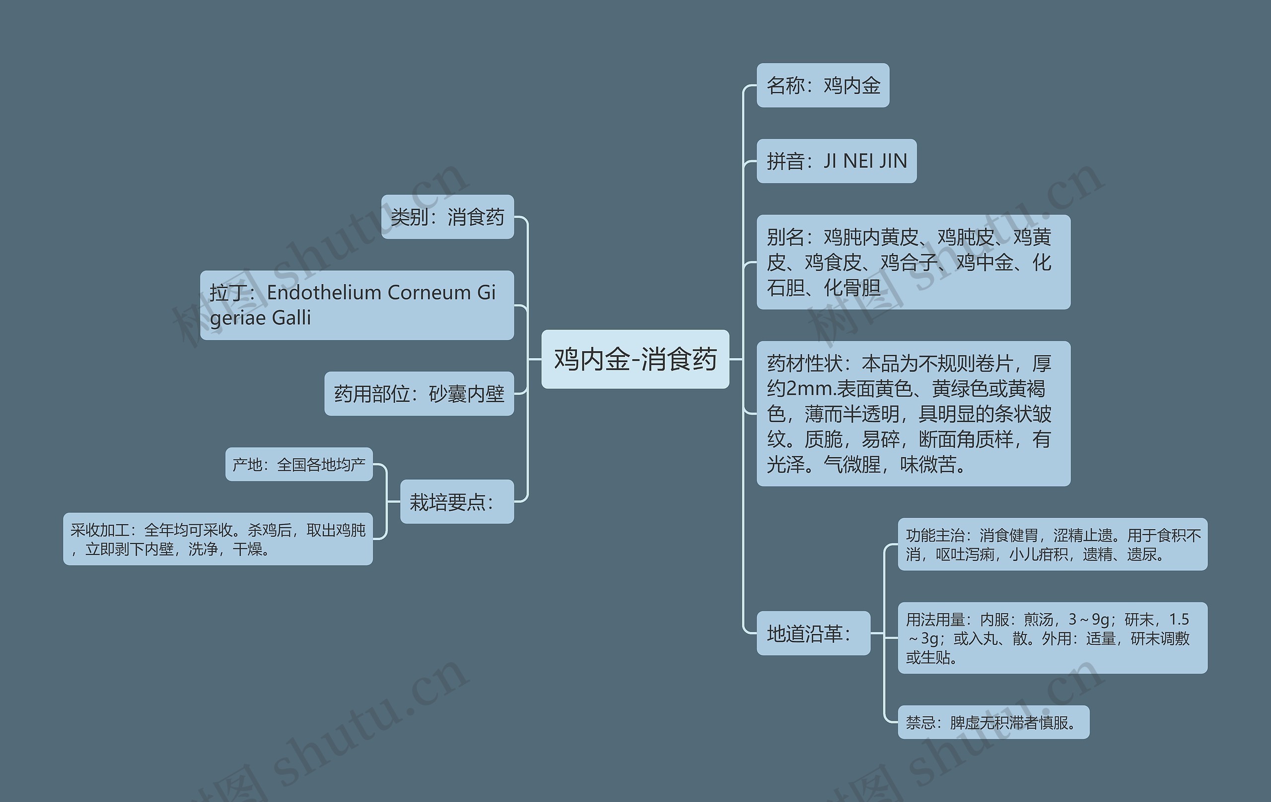 鸡内金-消食药思维导图