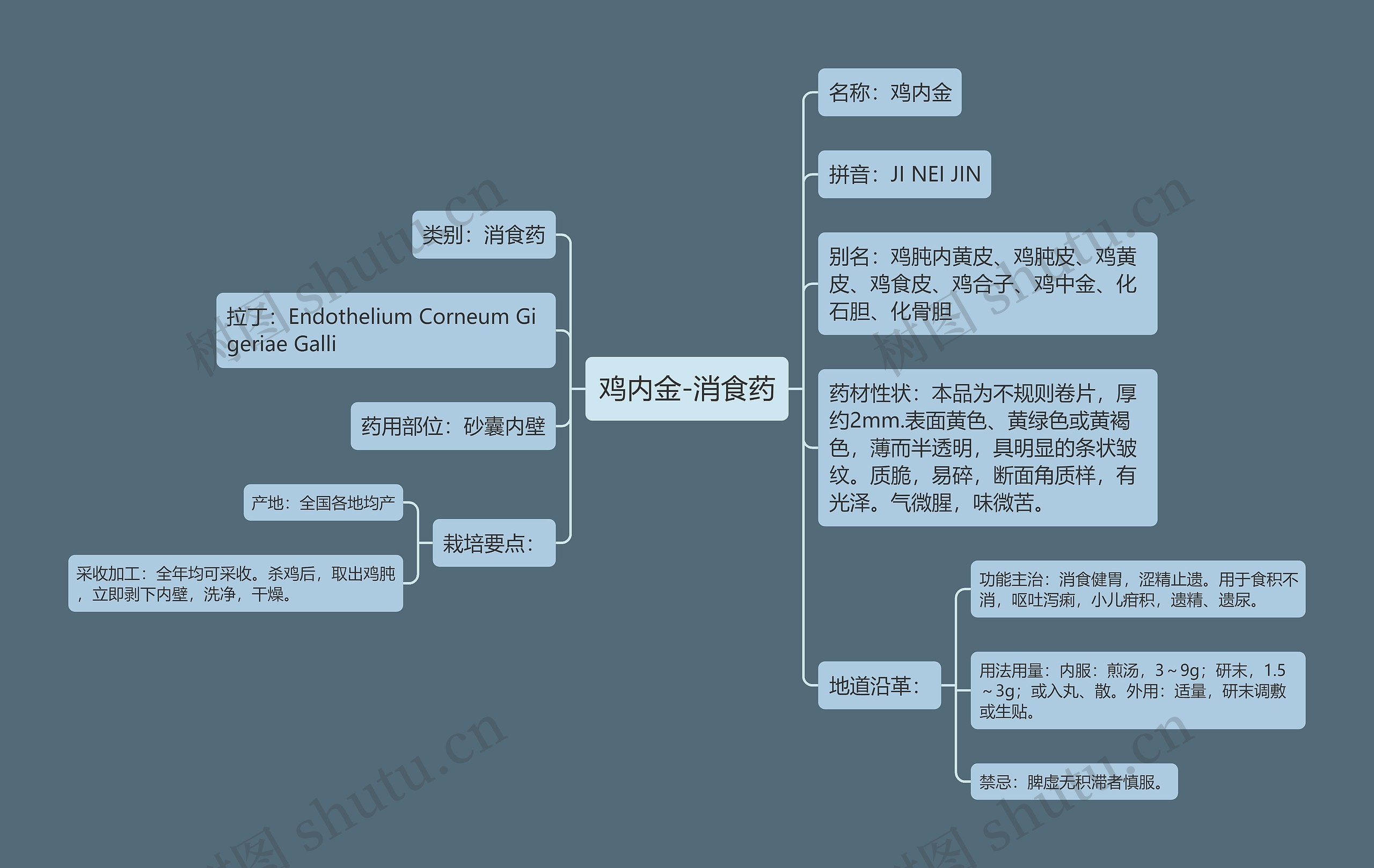 鸡内金-消食药 鸡内金-消食药