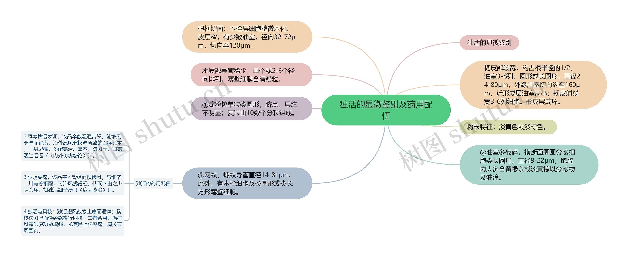 独活的显微鉴别及药用配伍思维导图