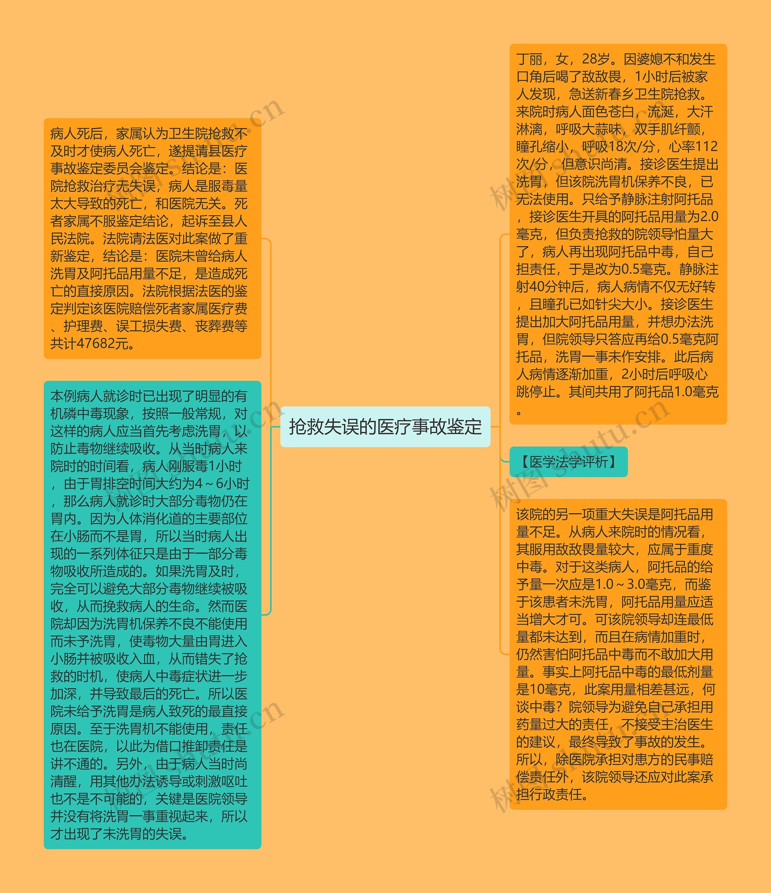 抢救失误的医疗事故鉴定思维导图