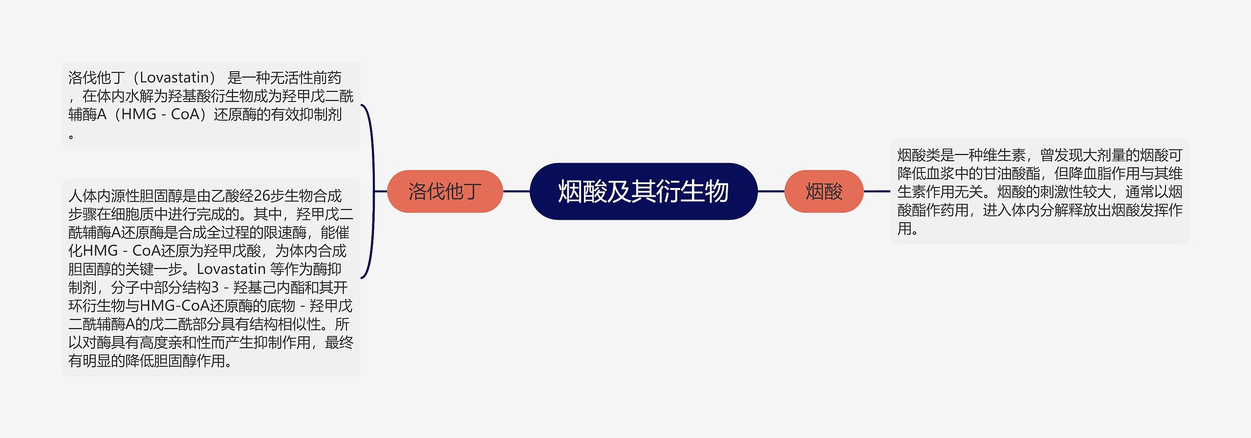 烟酸及其衍生物思维导图