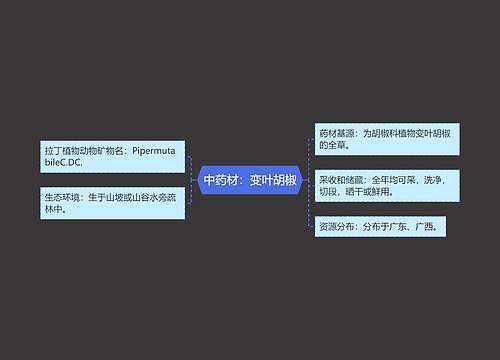 中药材：变叶胡椒
