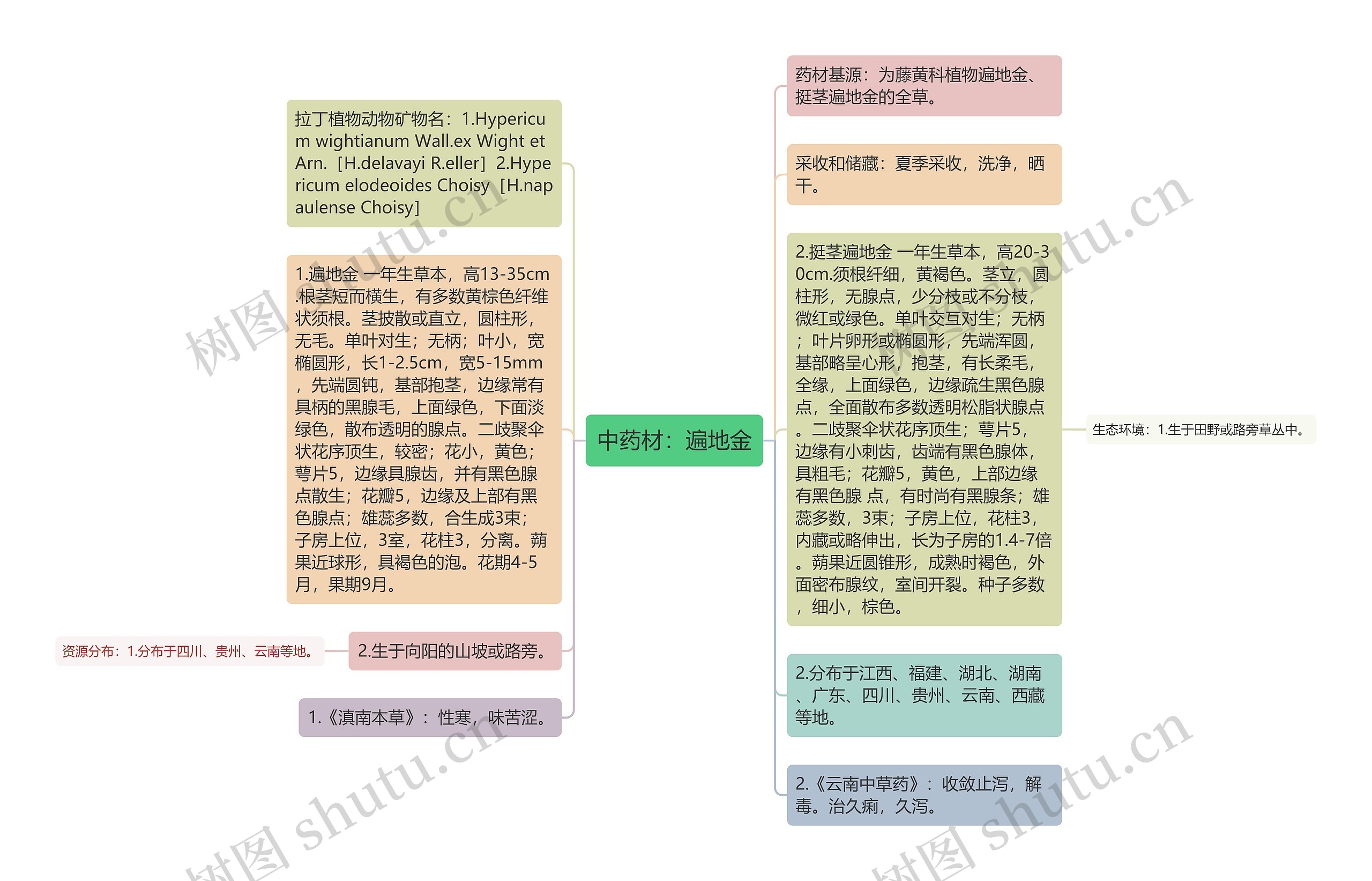 中药材：遍地金思维导图