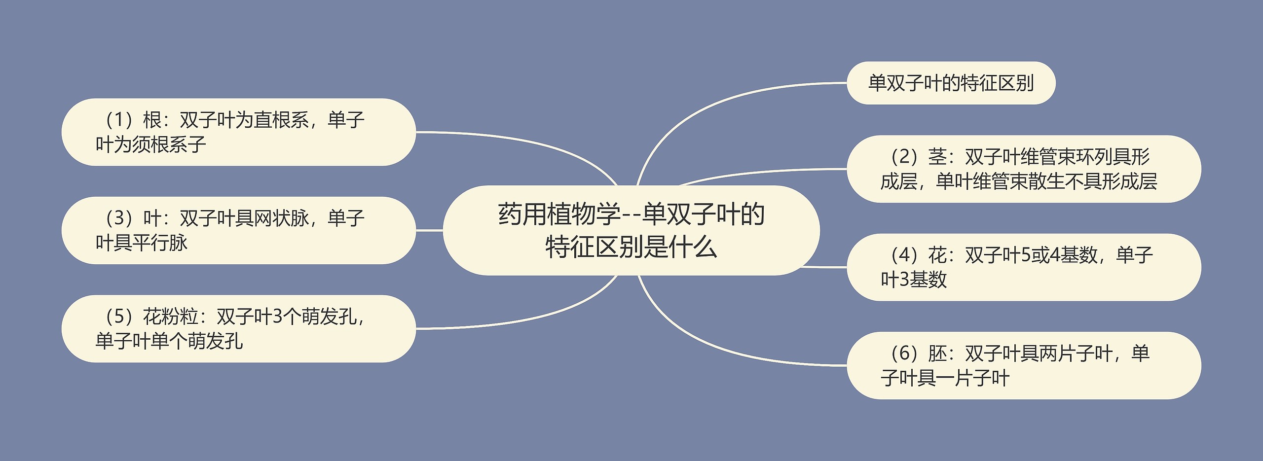 药用植物学--单双子叶的特征区别是什么 药用植物学--单双子叶的特征区别是什么
