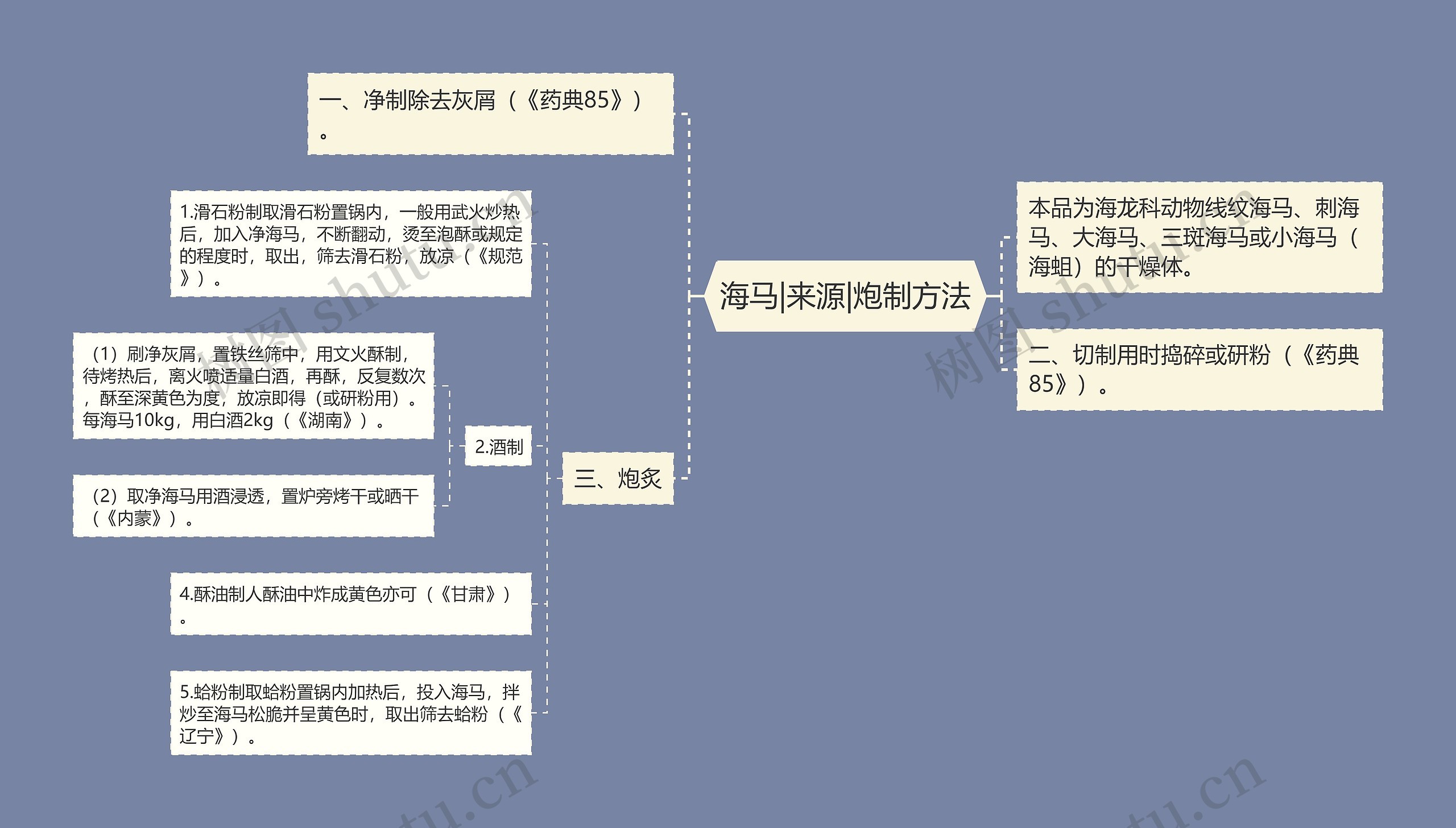 海马|来源|炮制方法思维导图