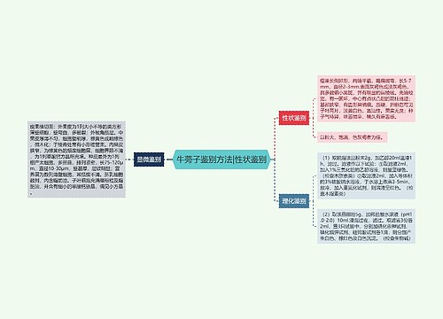 牛蒡子鉴别方法|性状鉴别