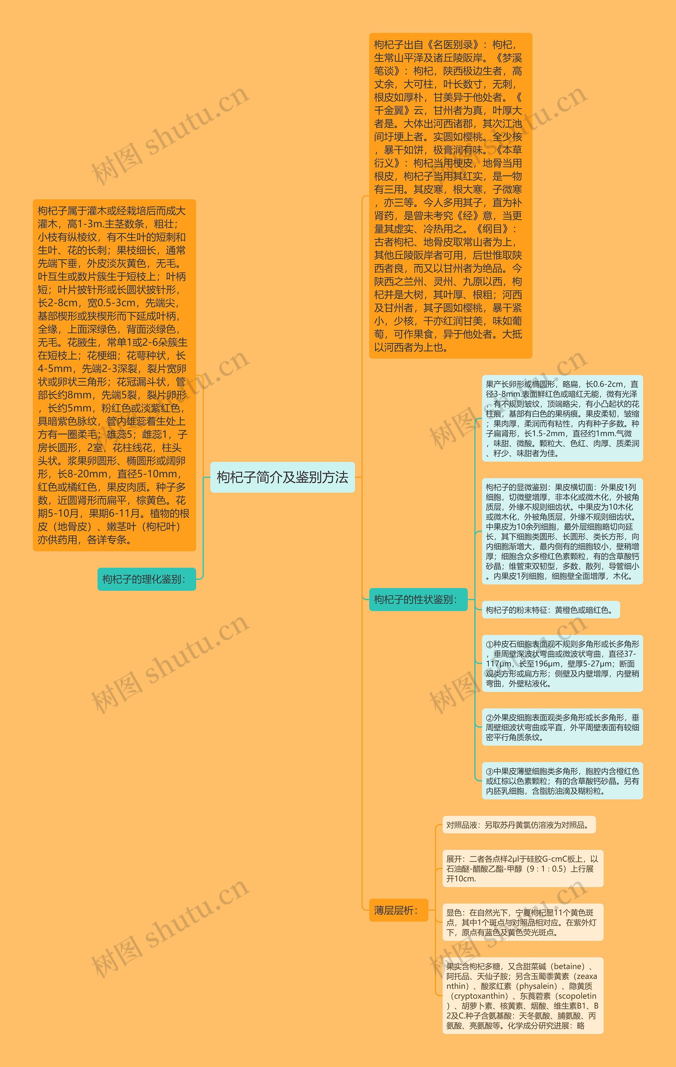 枸杞子简介及鉴别方法