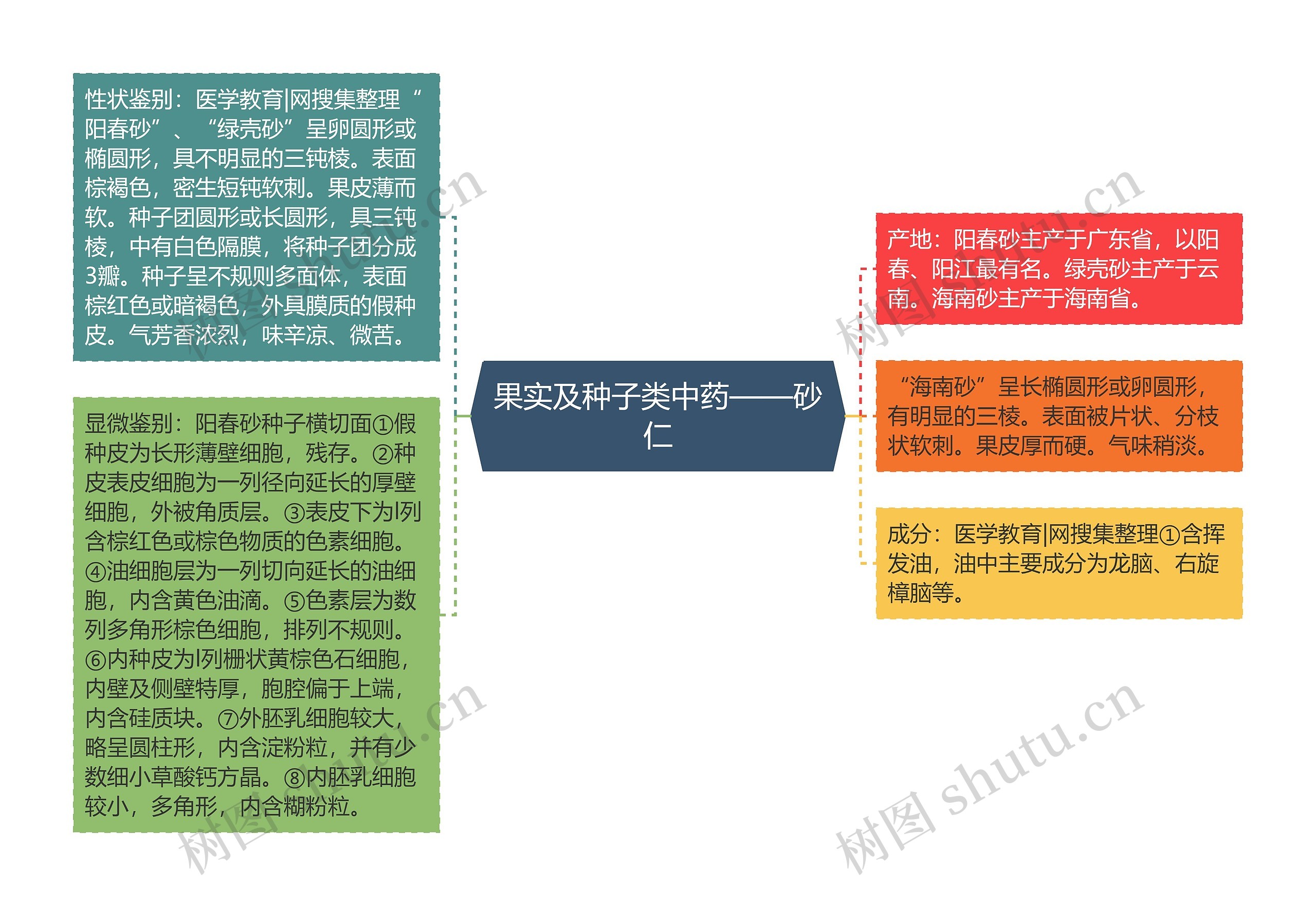 果实及种子类中药——砂仁思维导图