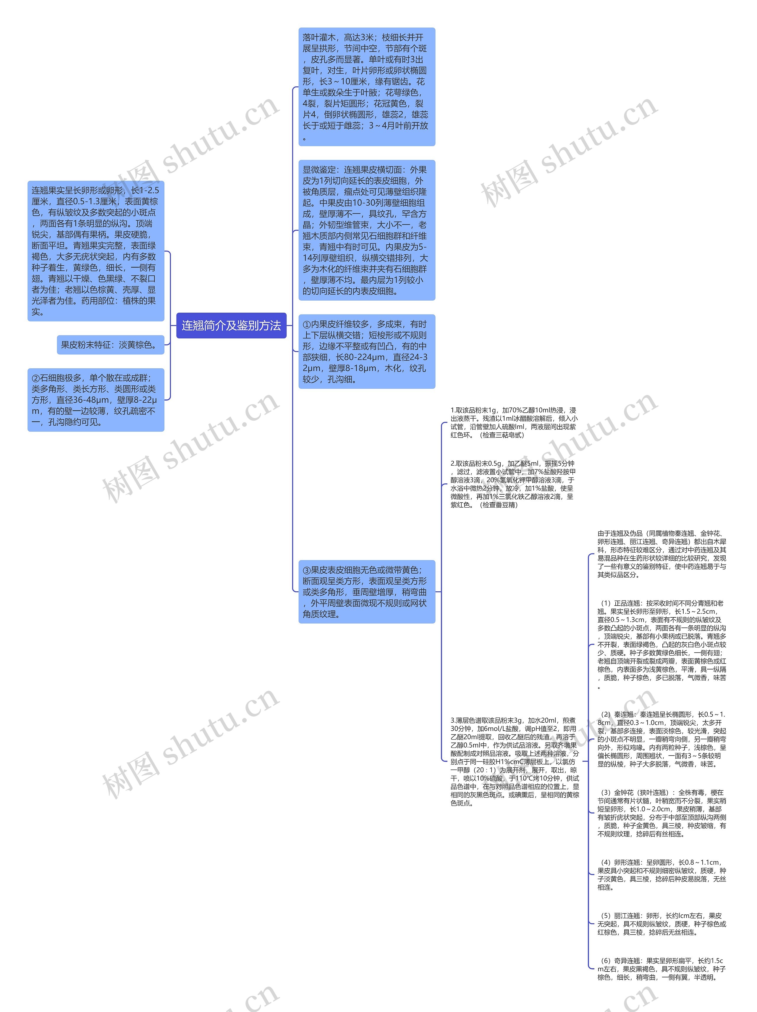 连翘简介及鉴别方法思维导图高清图 连翘简介及鉴别方法思维导图