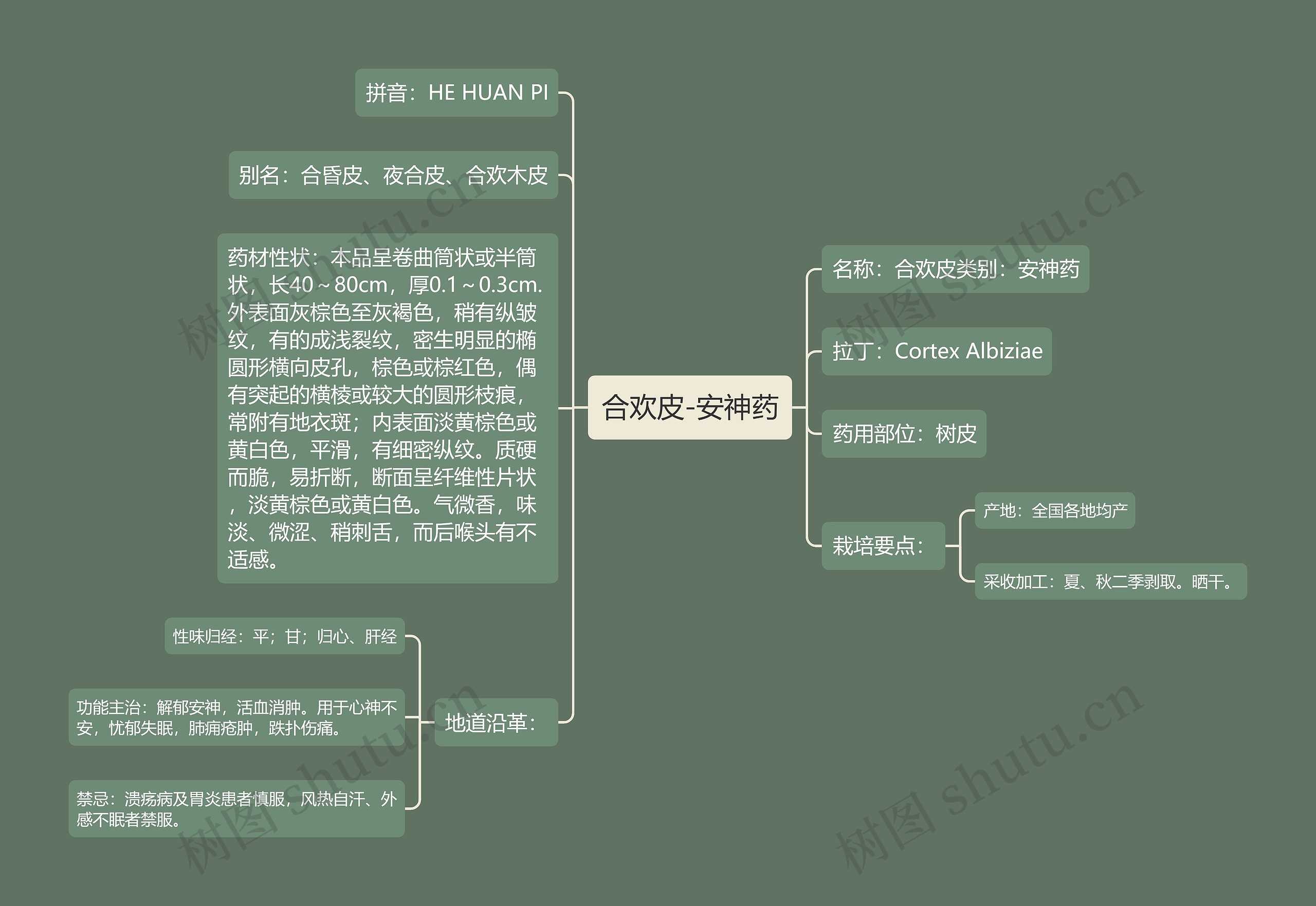 合欢皮-安神药思维导图