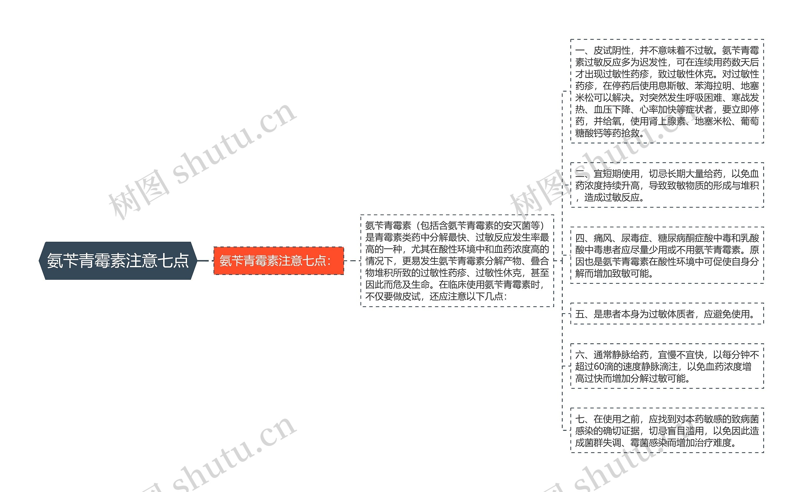 氨苄青霉素注意七点思维导图