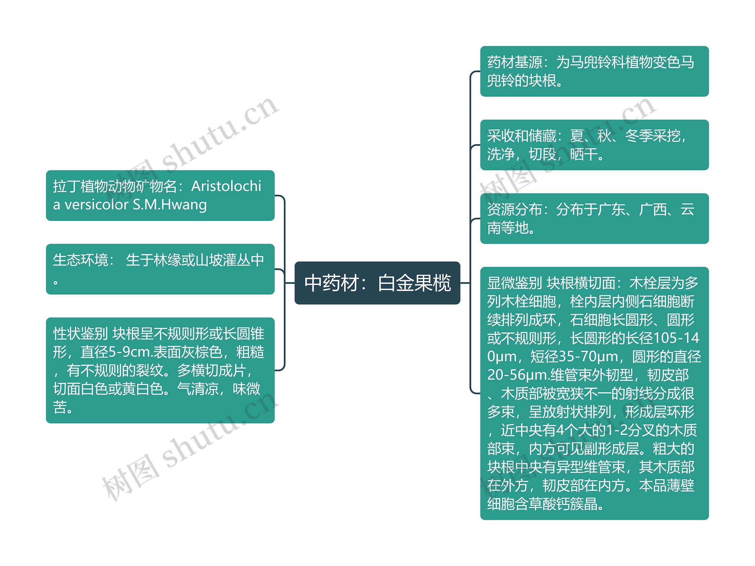 中药材：白金果榄