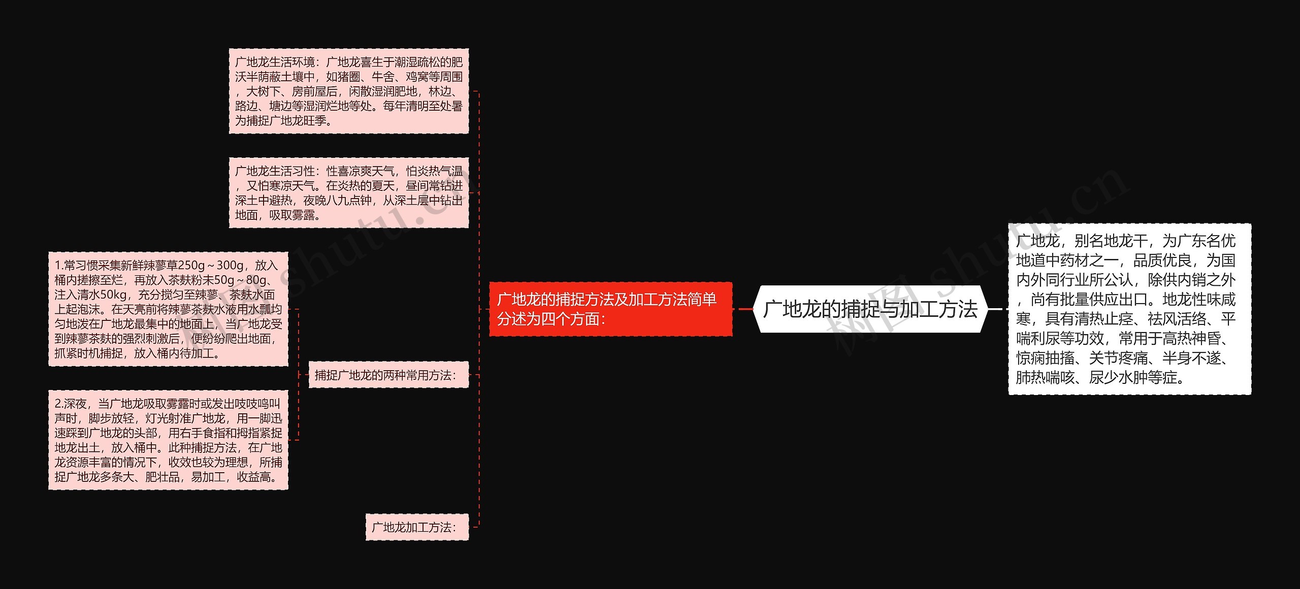 广地龙的捕捉与加工方法思维导图