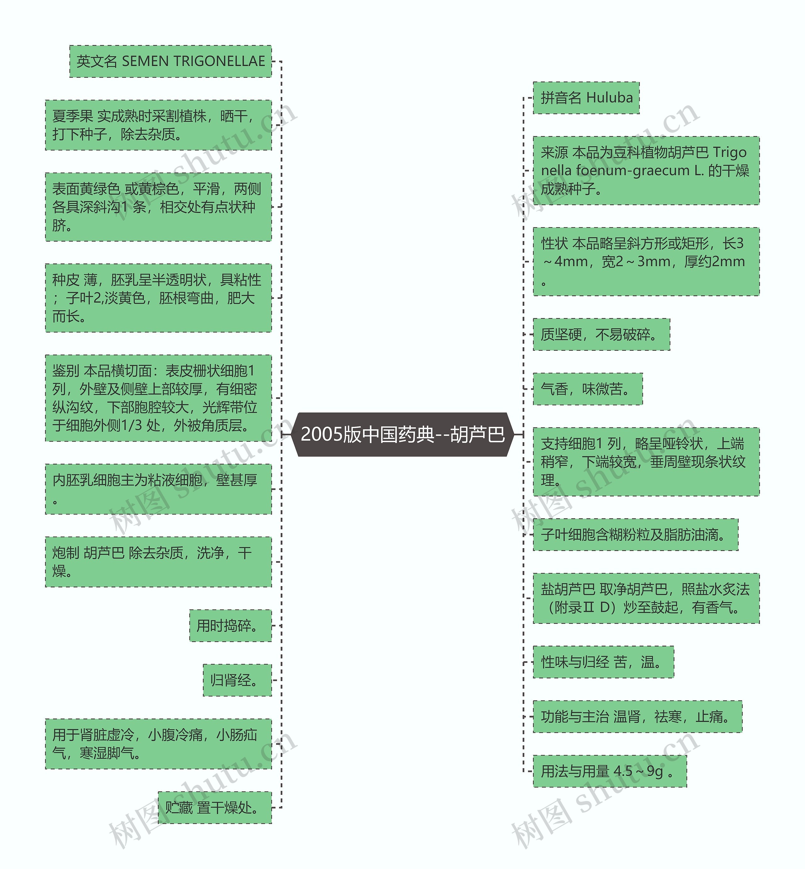 2005版中国药典--胡芦巴思维导图