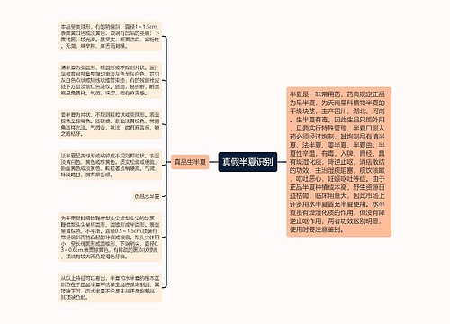 真假半夏识别