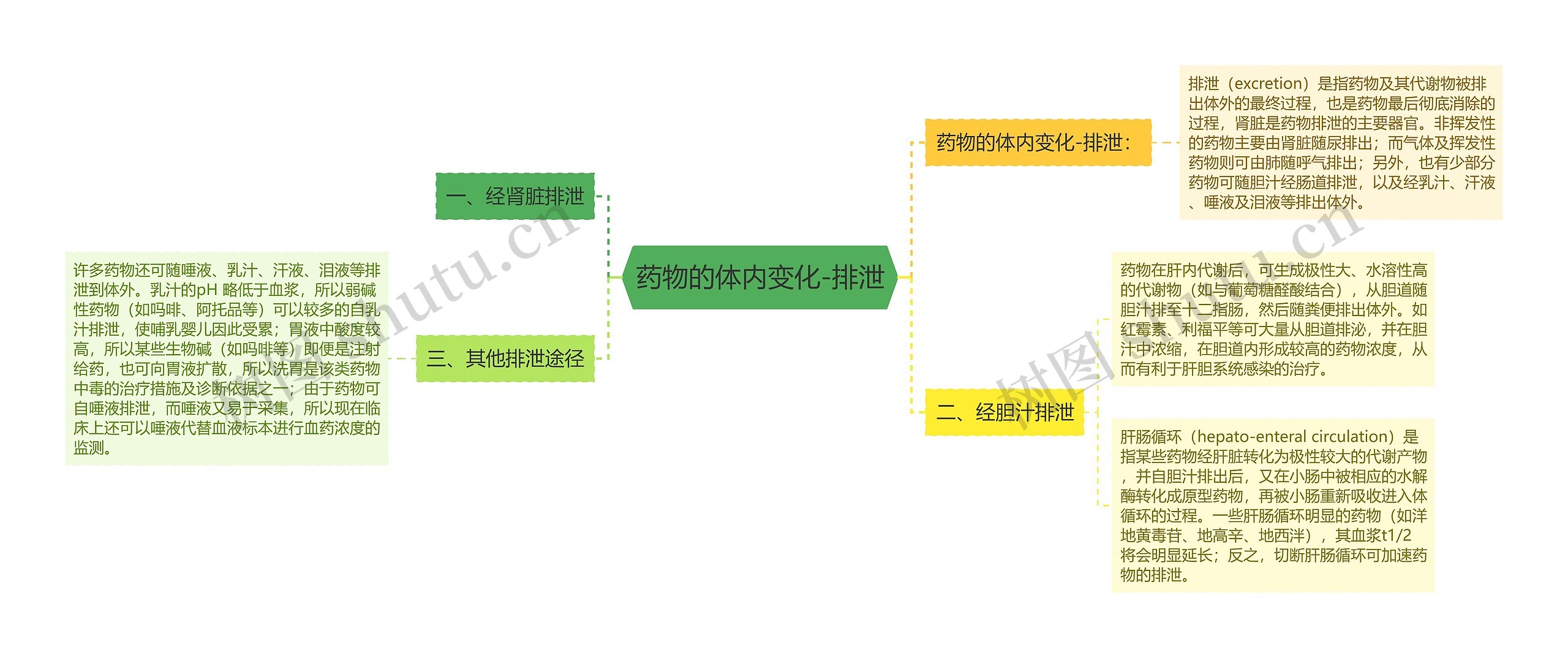药物的体内变化-排泄思维导图