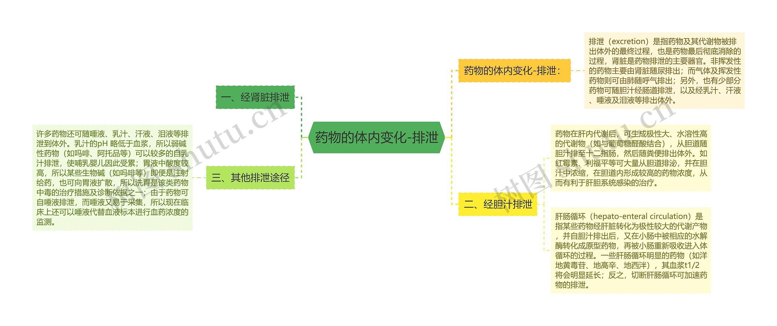 药物的体内变化-排泄 药物的体内变化-排泄