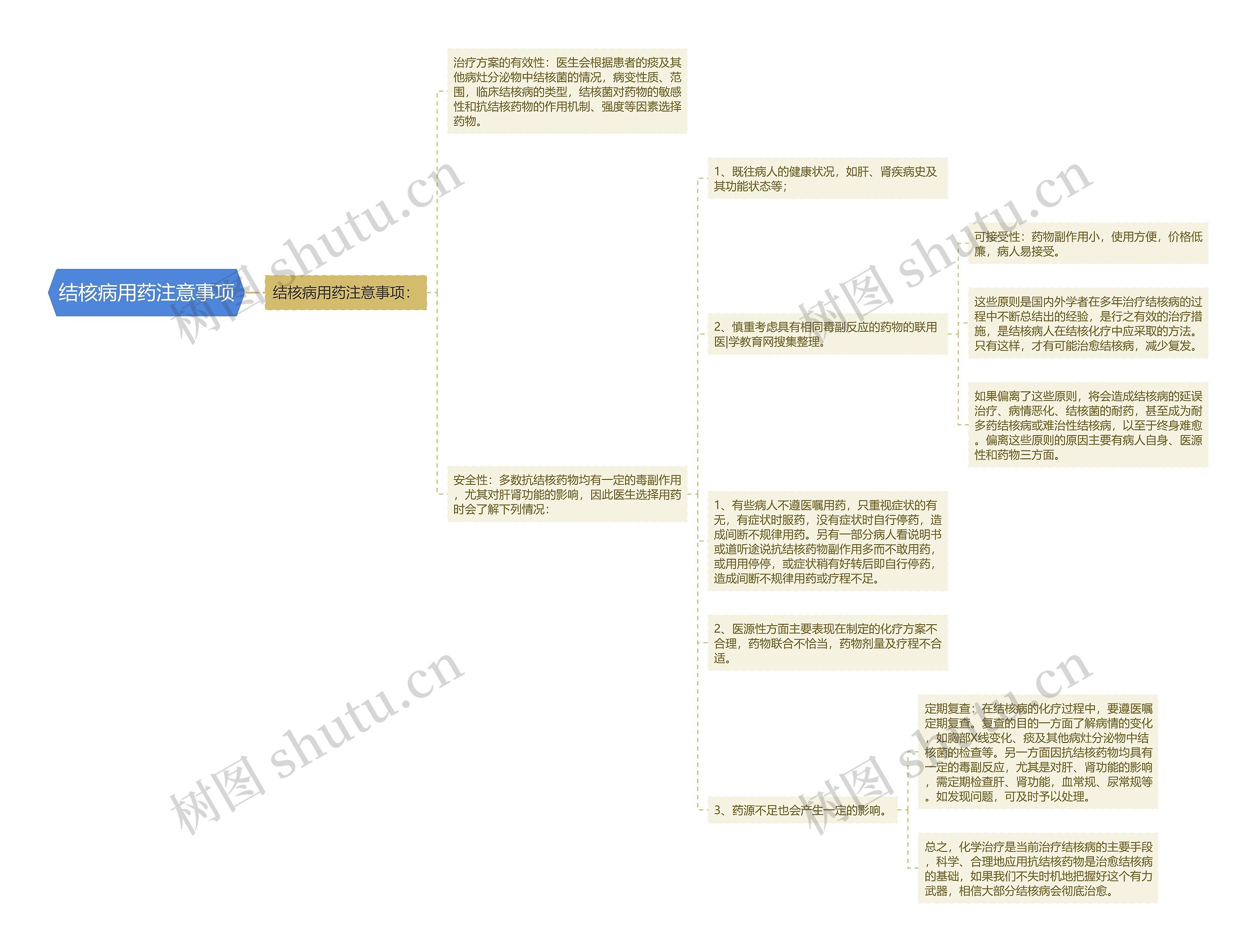 结核病用药注意事项思维导图