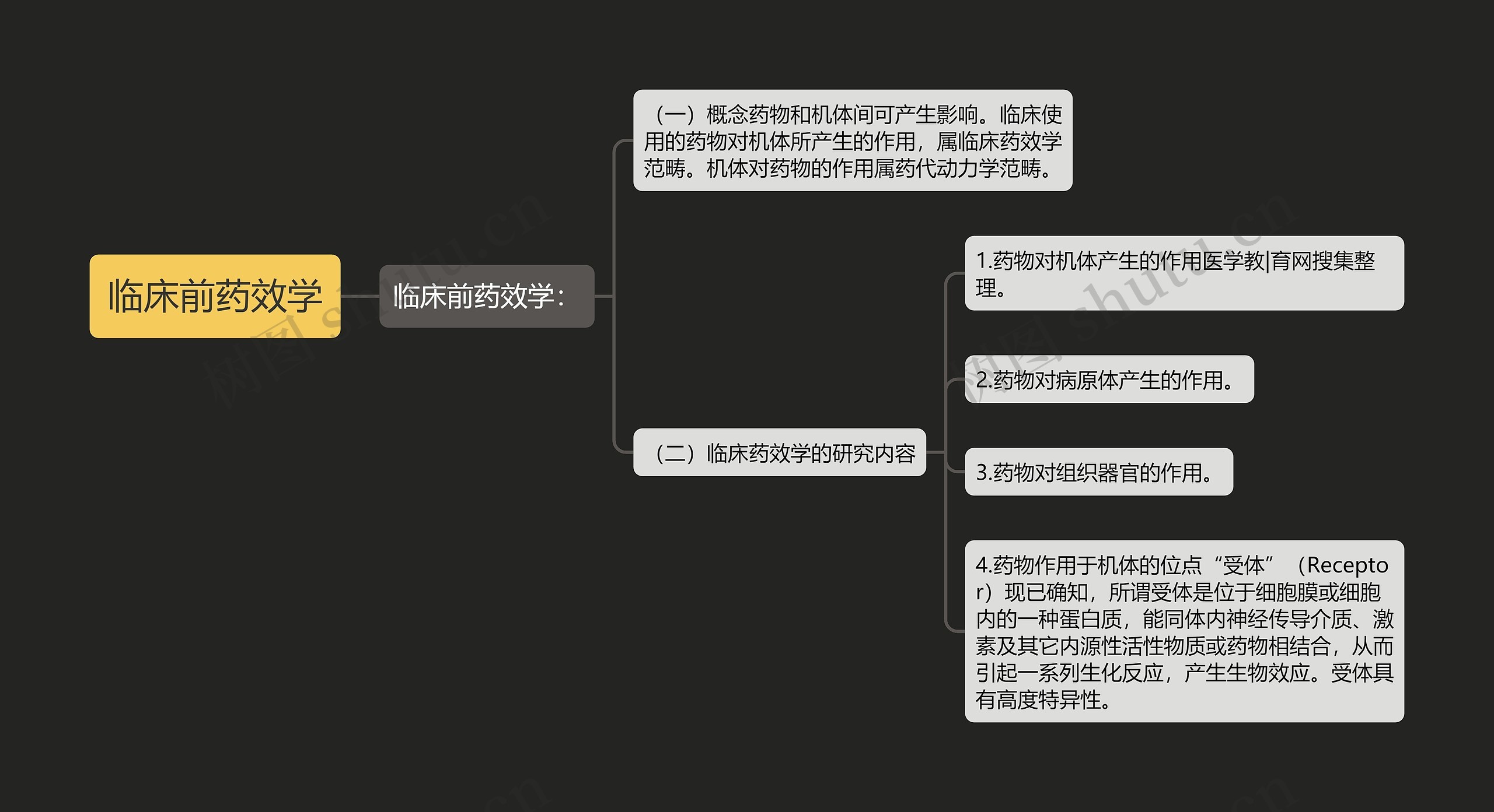 临床前药效学思维导图