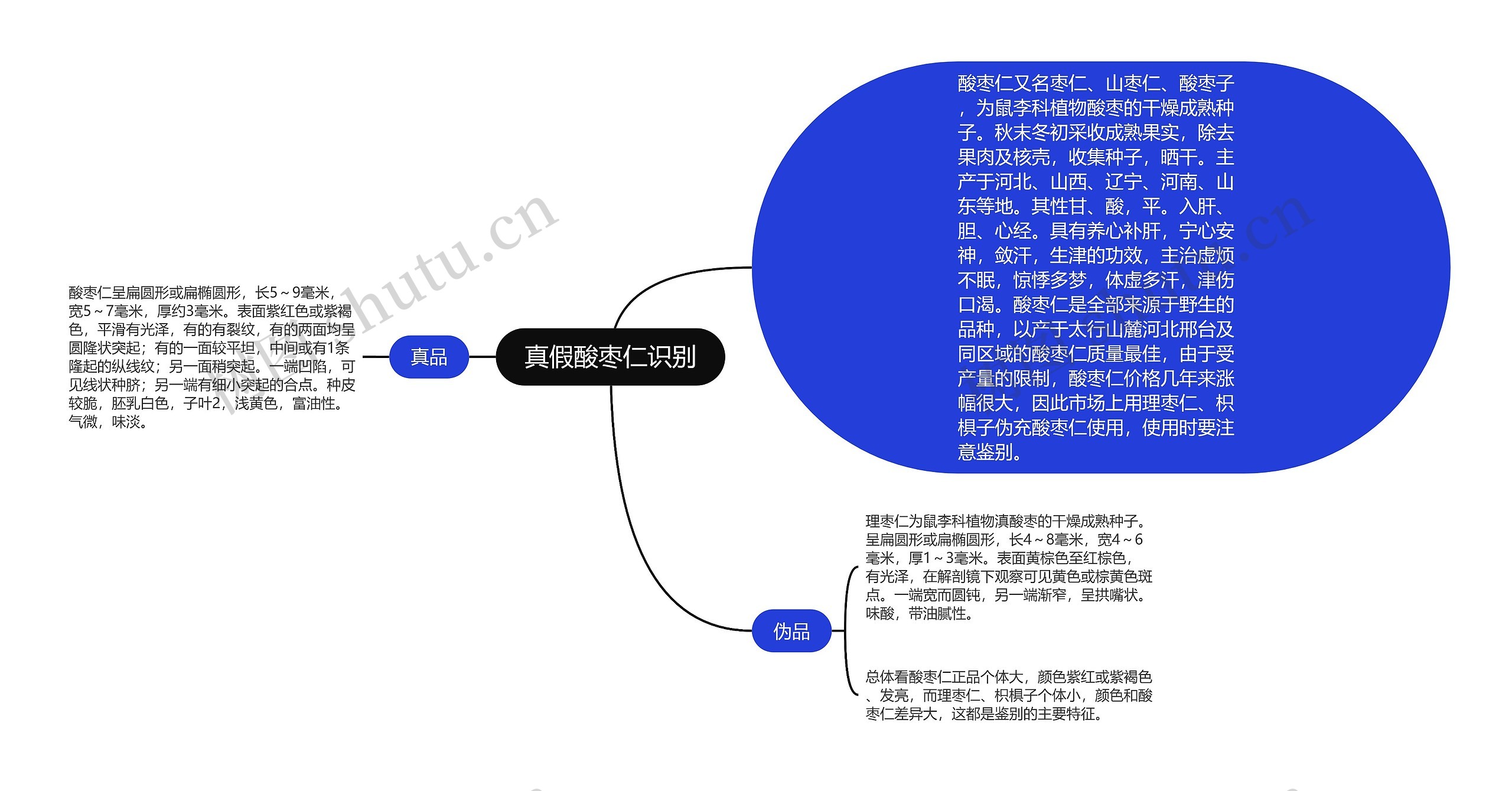 真假酸枣仁识别思维导图