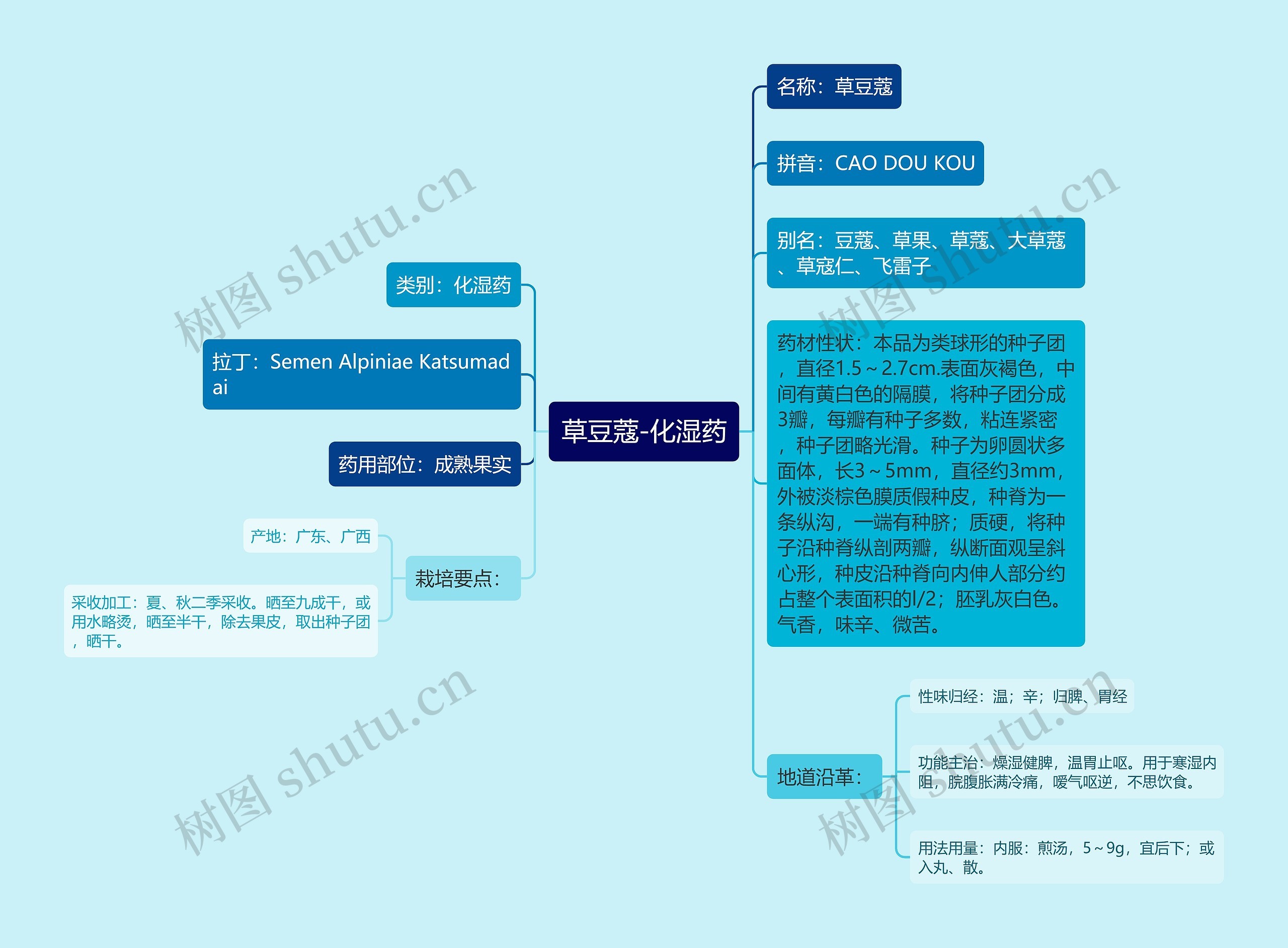 草豆蔻-化湿药思维导图