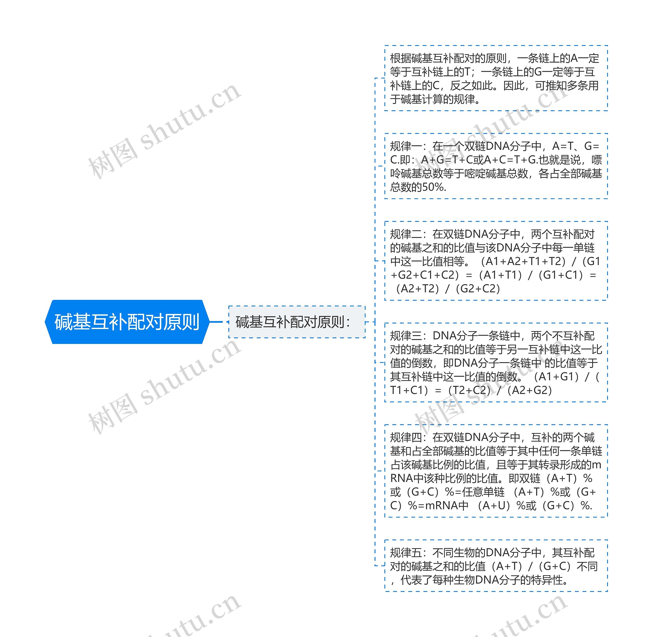 碱基互补配对原则思维导图