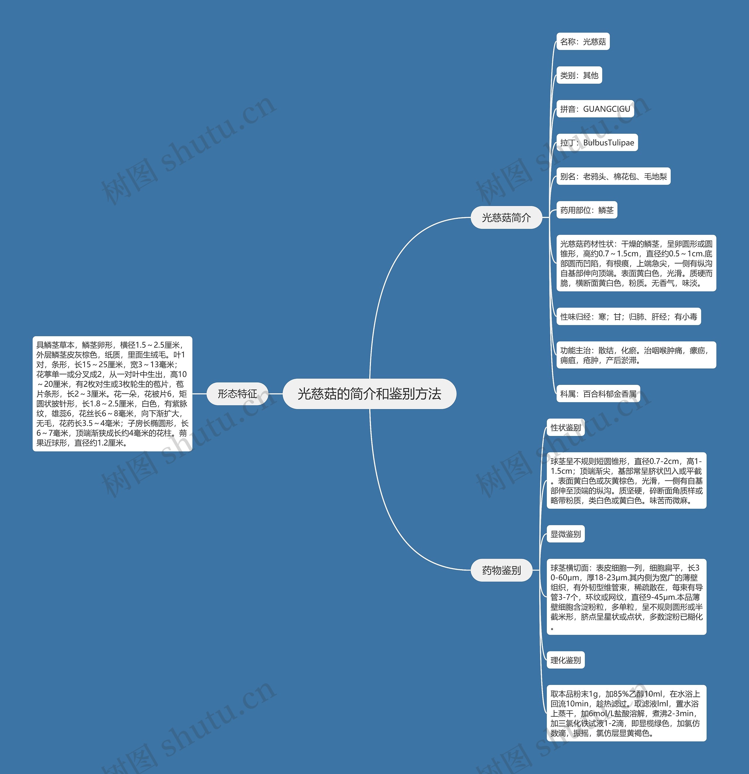光慈菇的简介和鉴别方法 光慈菇的简介和鉴别方法