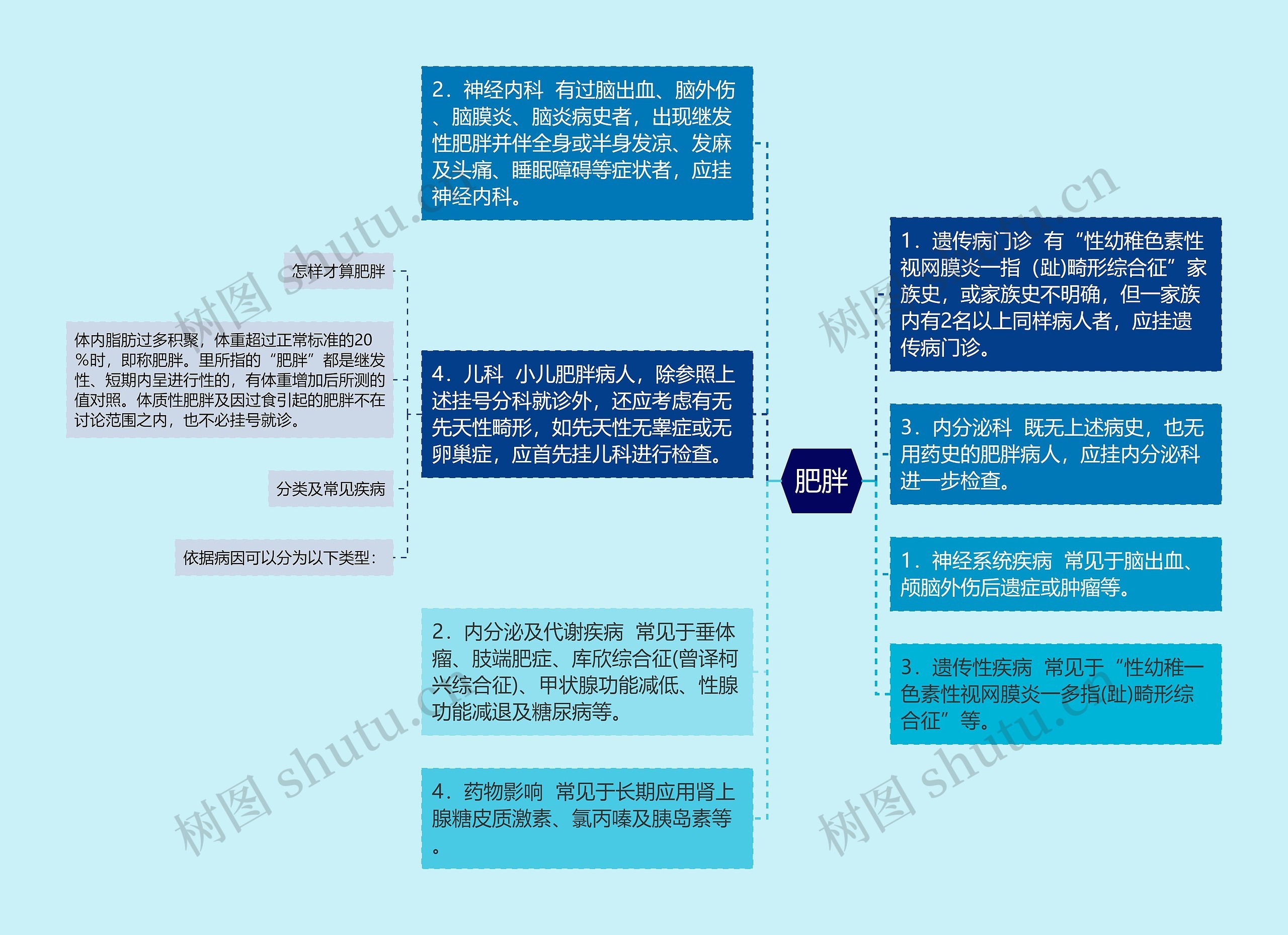 肥胖思维导图