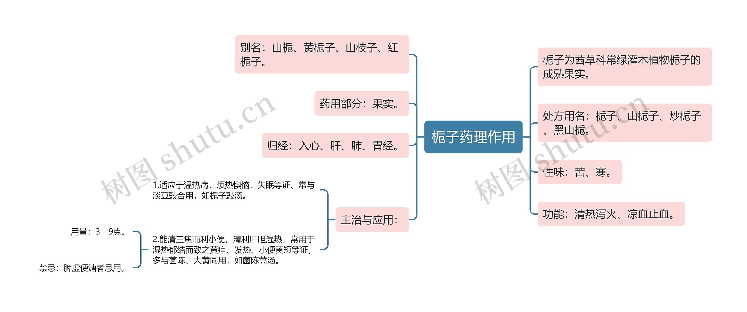 栀子药理作用 栀子药理作用