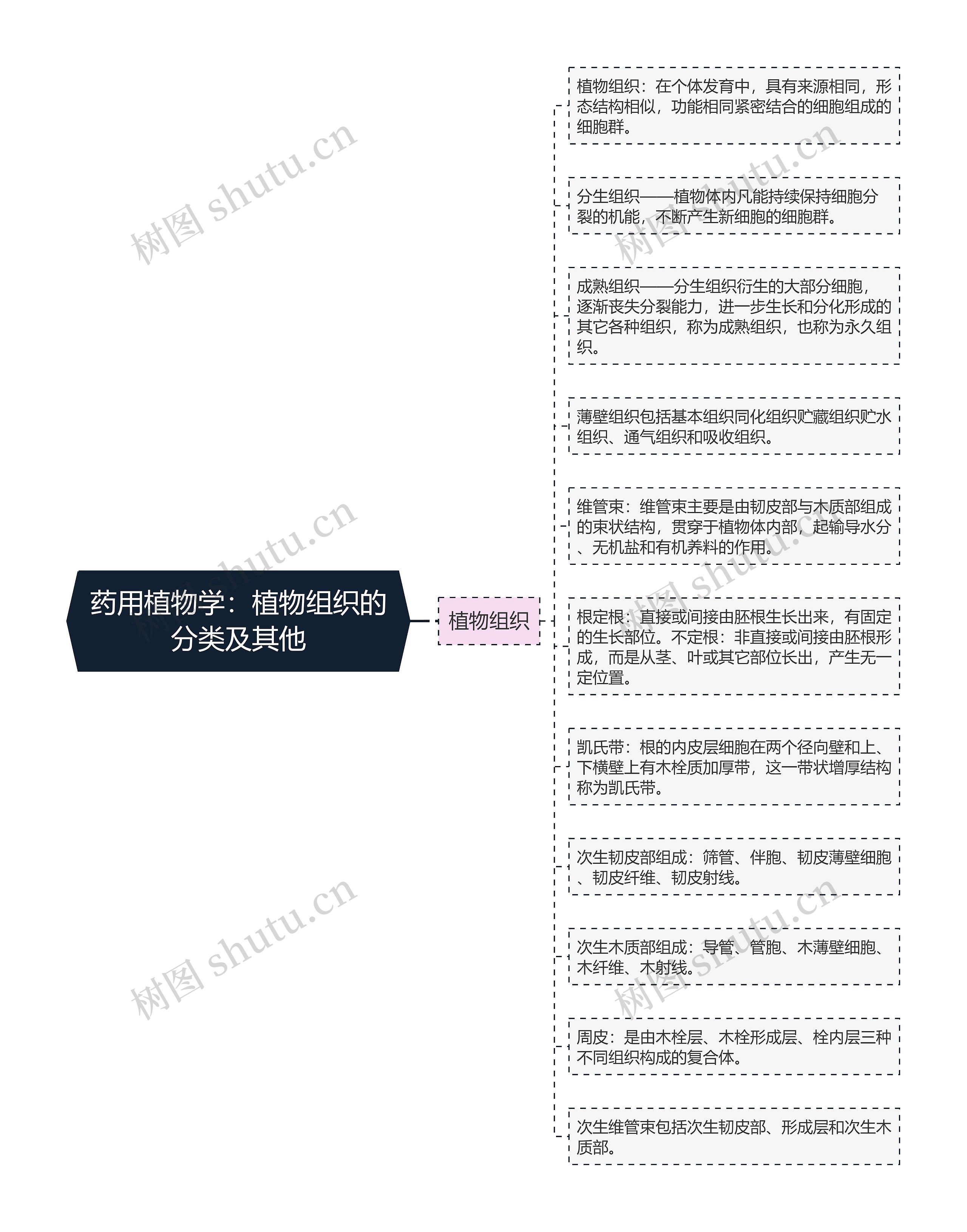 药用植物学：植物组织的分类及其他