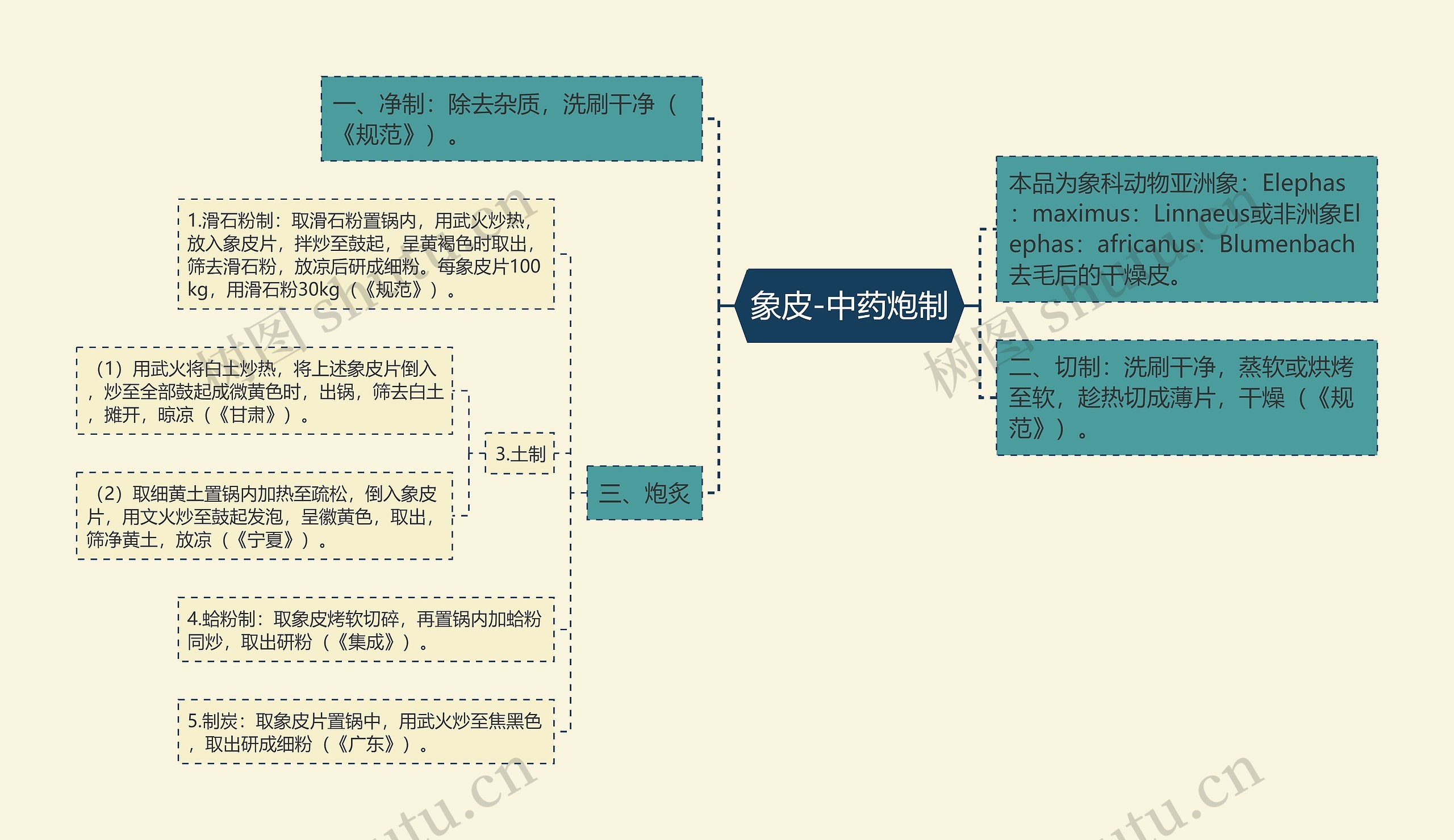 象皮-中药炮制思维导图